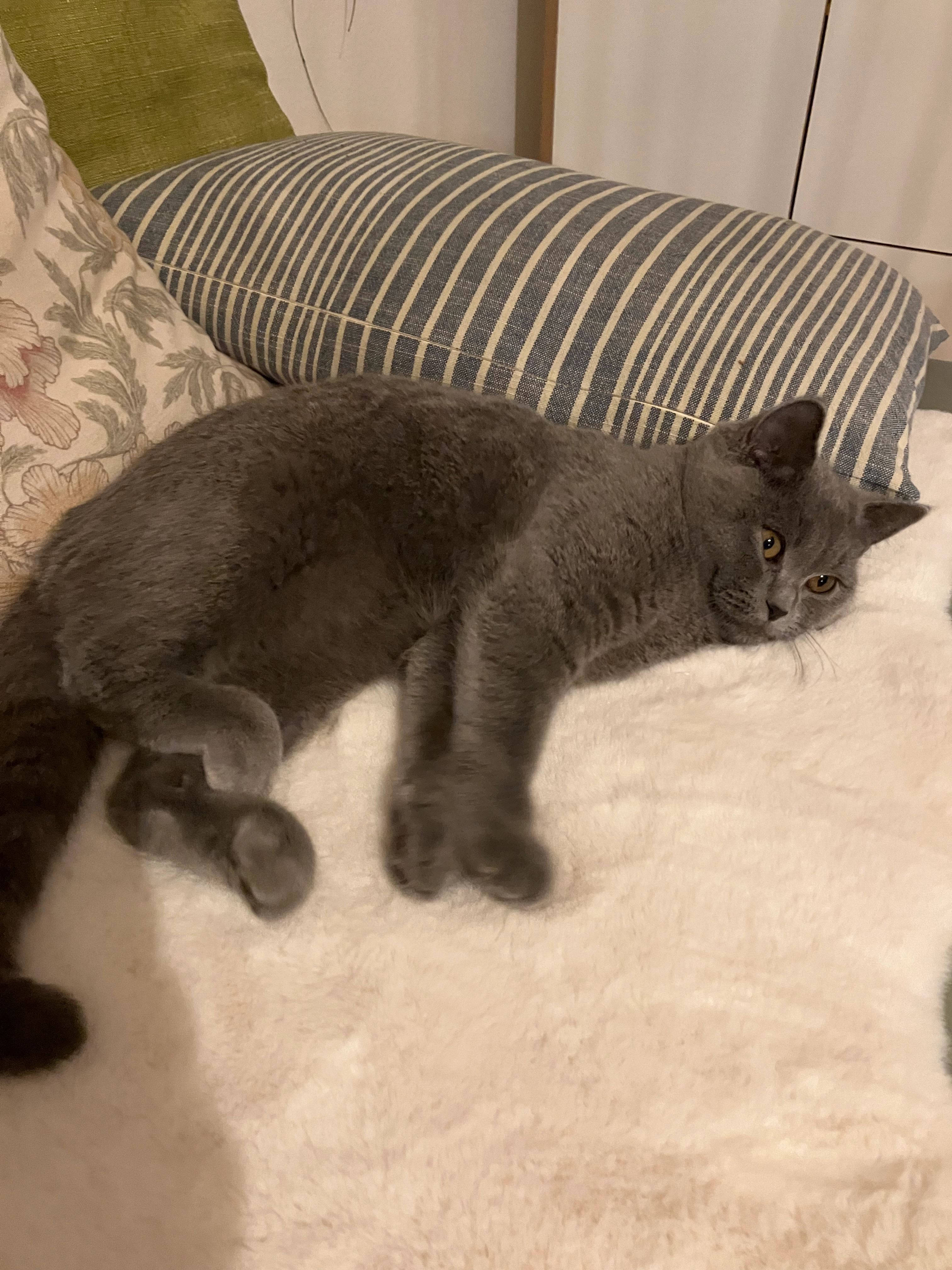 Emma - Nidelbadstrasse, Rüschlikon