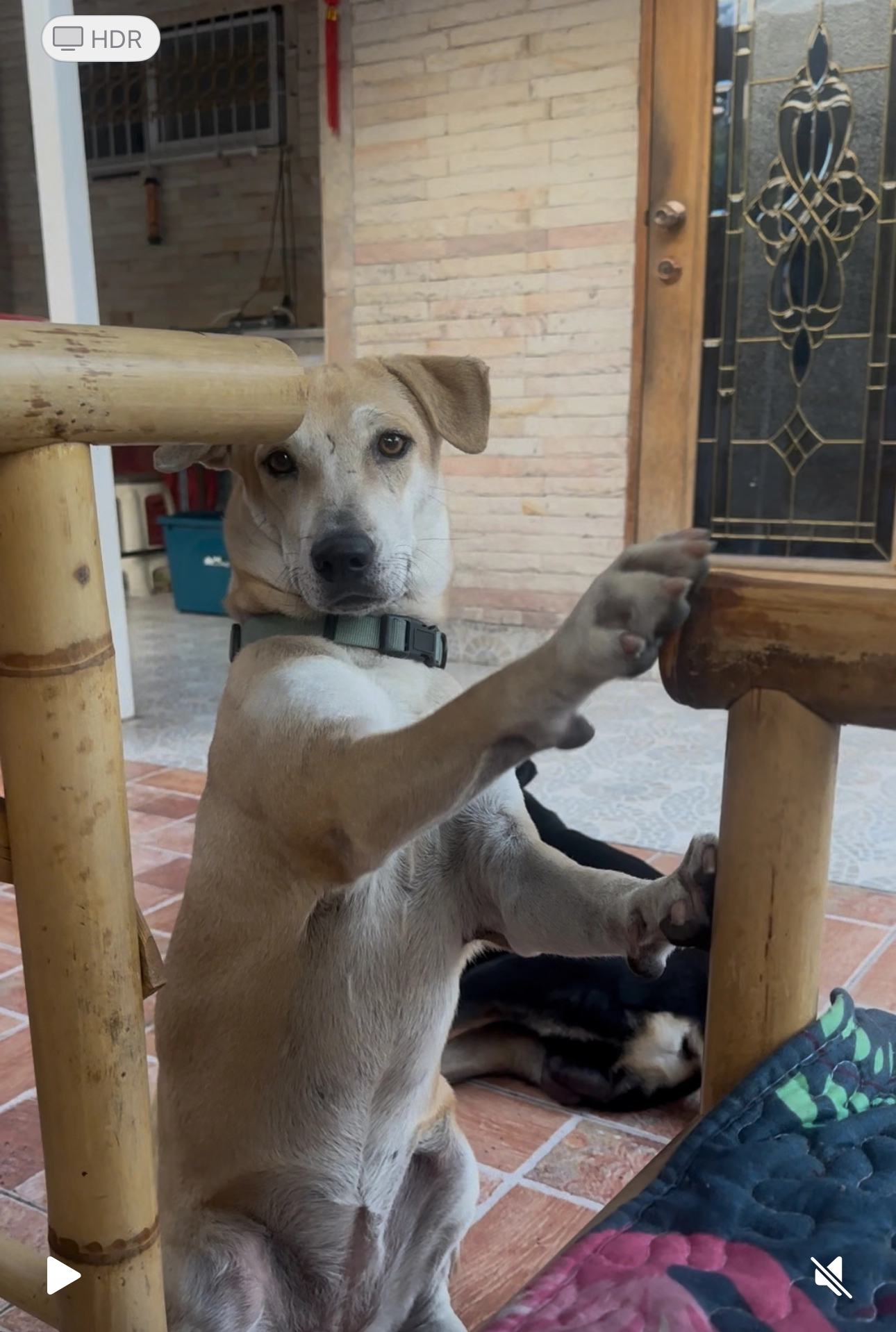 Og  - Soi Somprasong, Pattaya