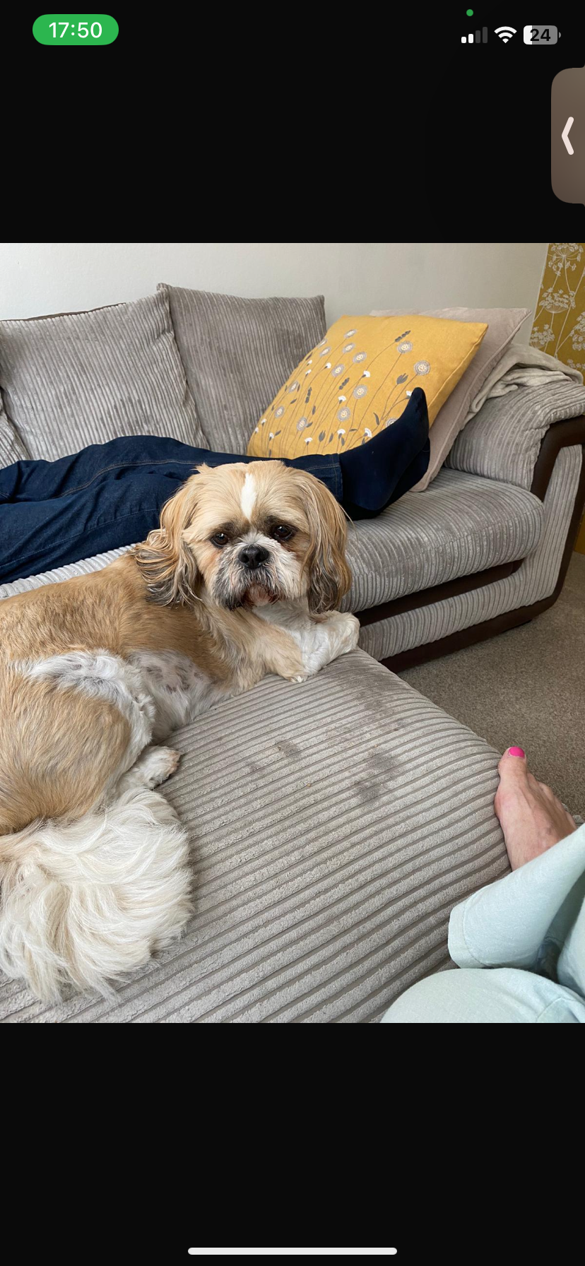 Milo - Leysdown Road, Sheerness