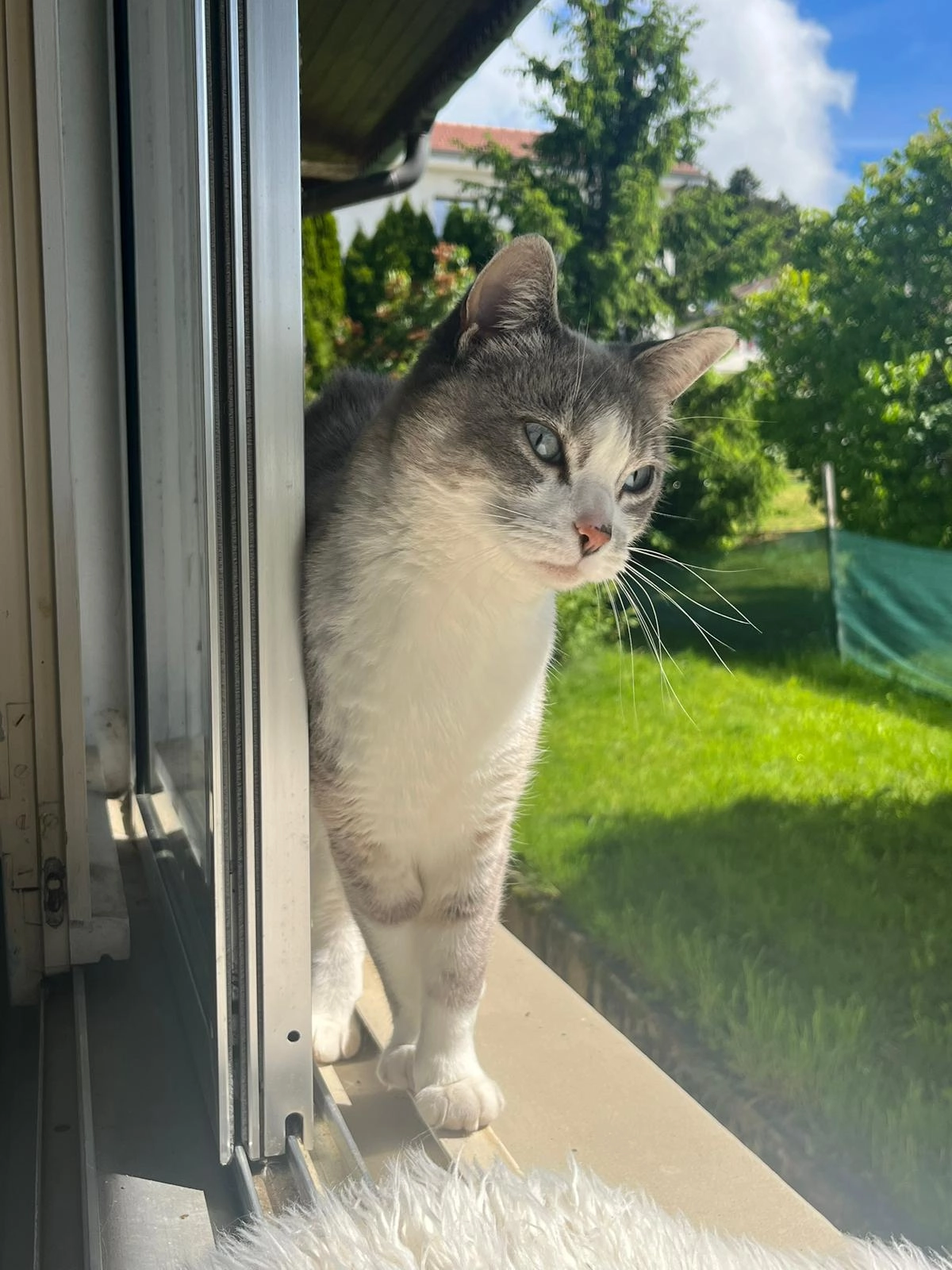 Choupy - Rue du Rond Buisson, Maîche