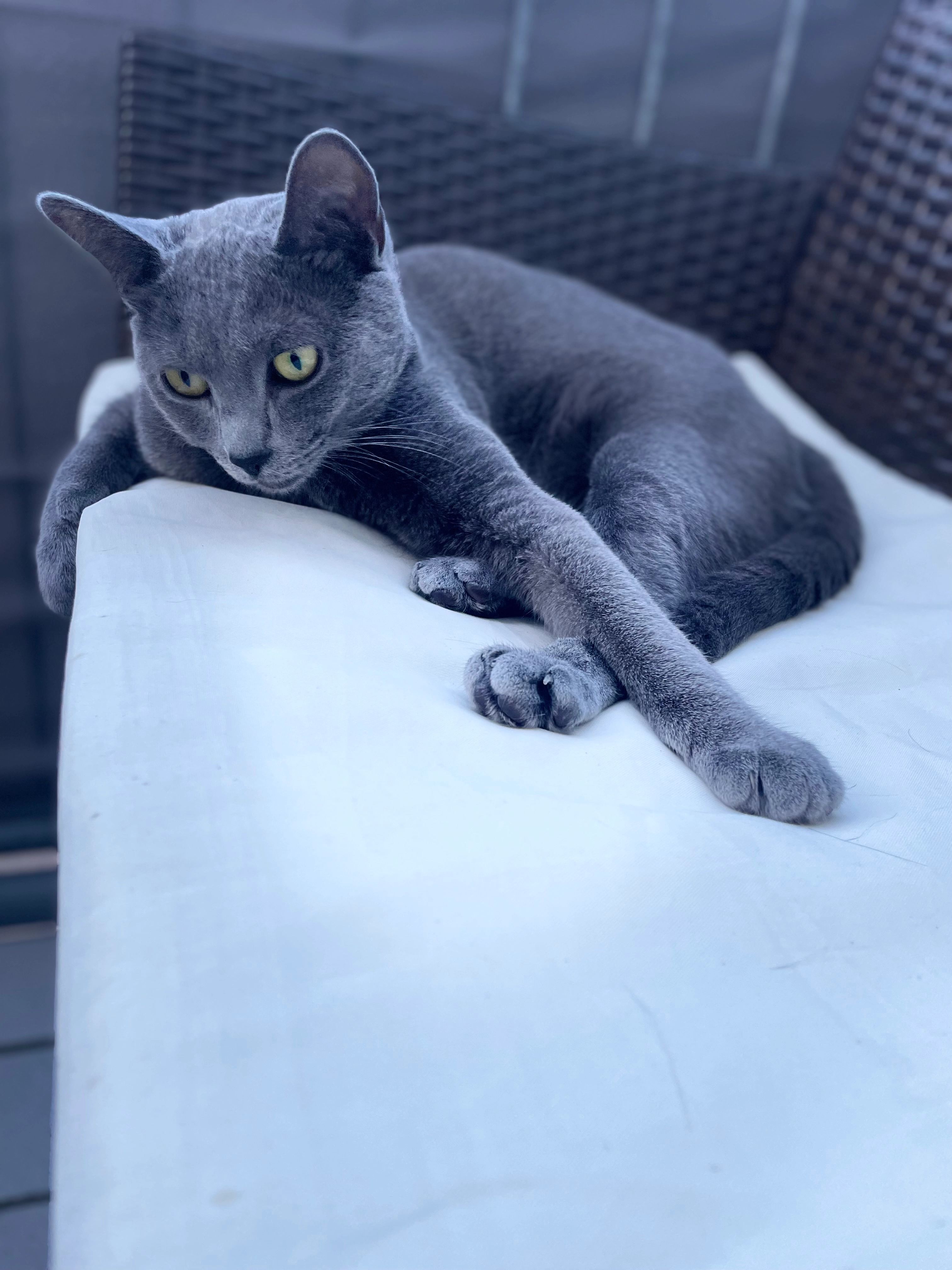 Rocky - Carlo-Schmid-Straße, Lorsch