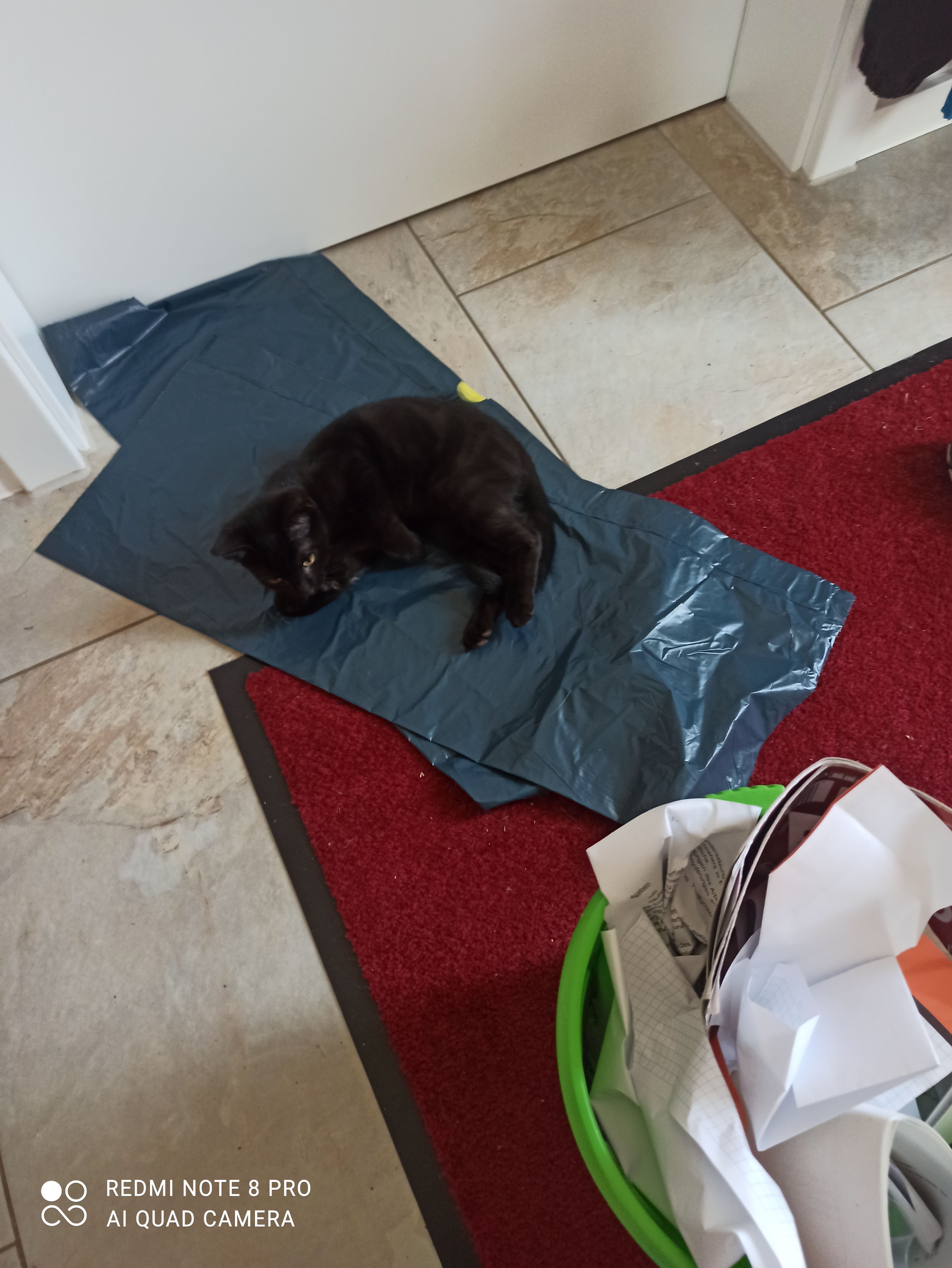 Mia - An der Teeplantage 42, Bennewitz