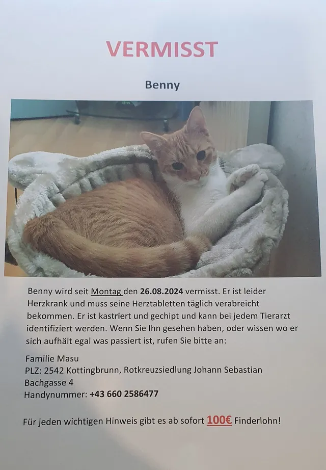 Benny - Johann-Sebastian-Bach-Gasse, Kottingbrunn
