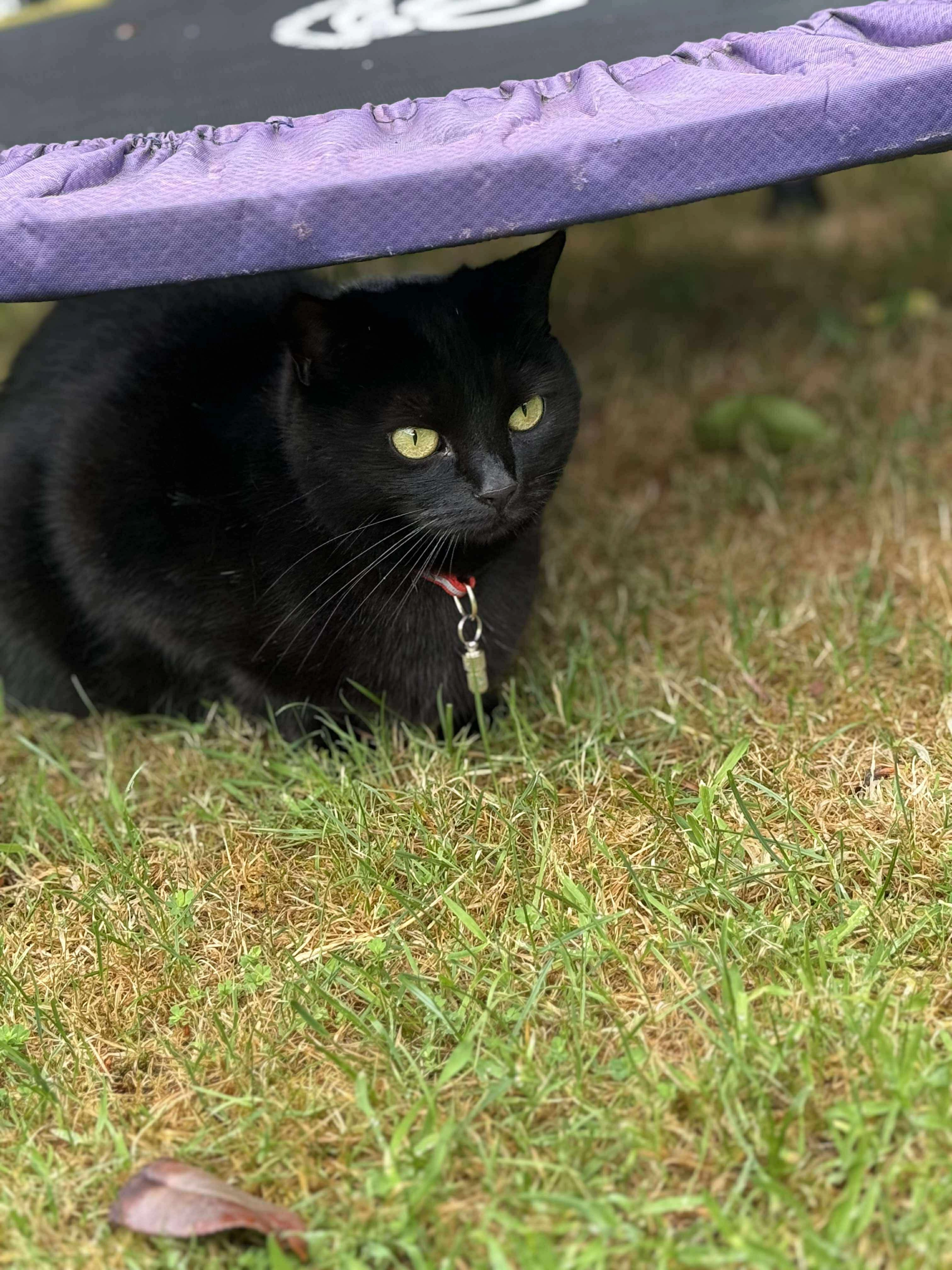 Coco - Christchurch Road, Bradford-on-Avon