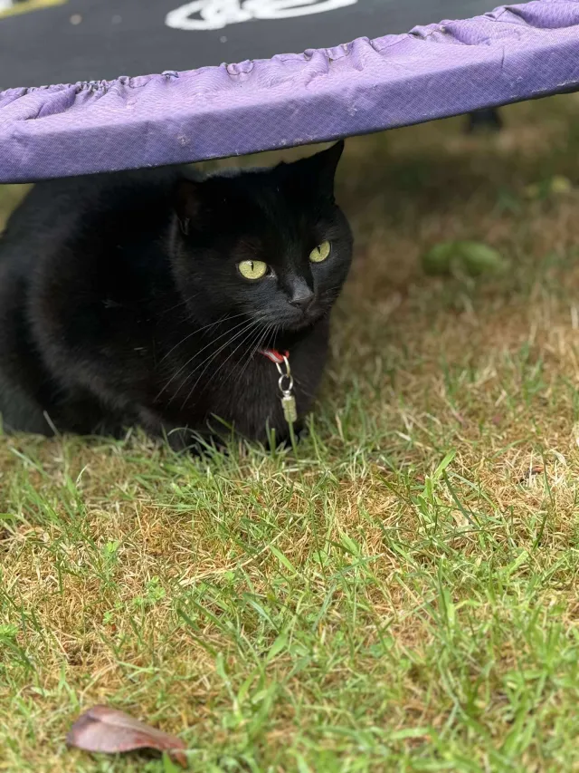 Coco - Christchurch Road, Bradford-on-Avon
