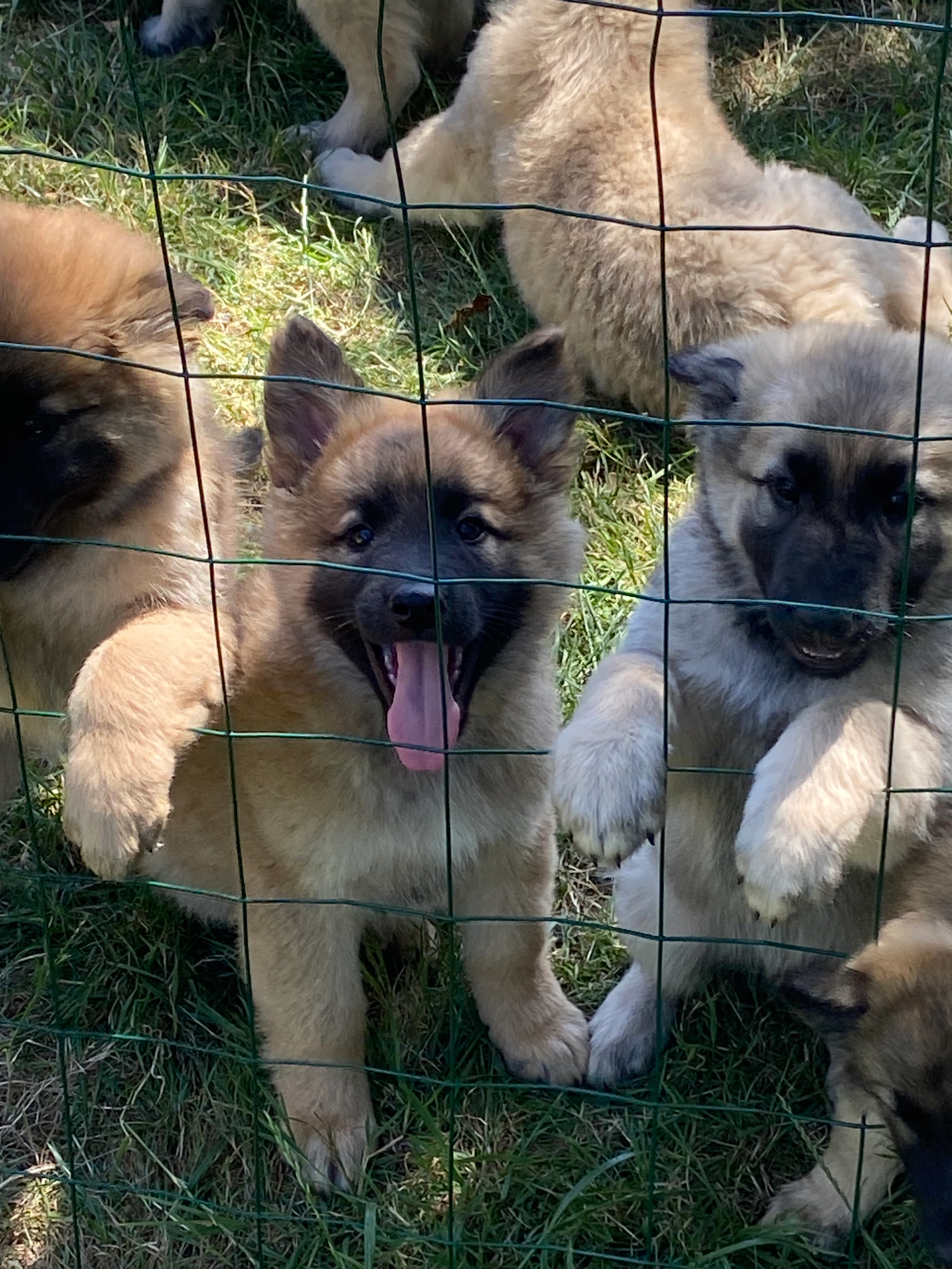 Utah  - 4 Allée des Pâtureaux, Vasselay