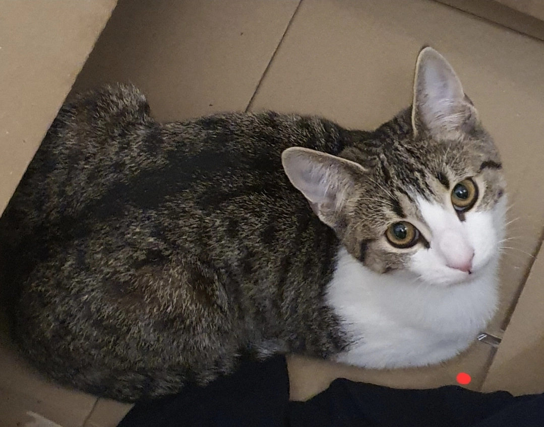 Kity - Byron Place, Rugeley