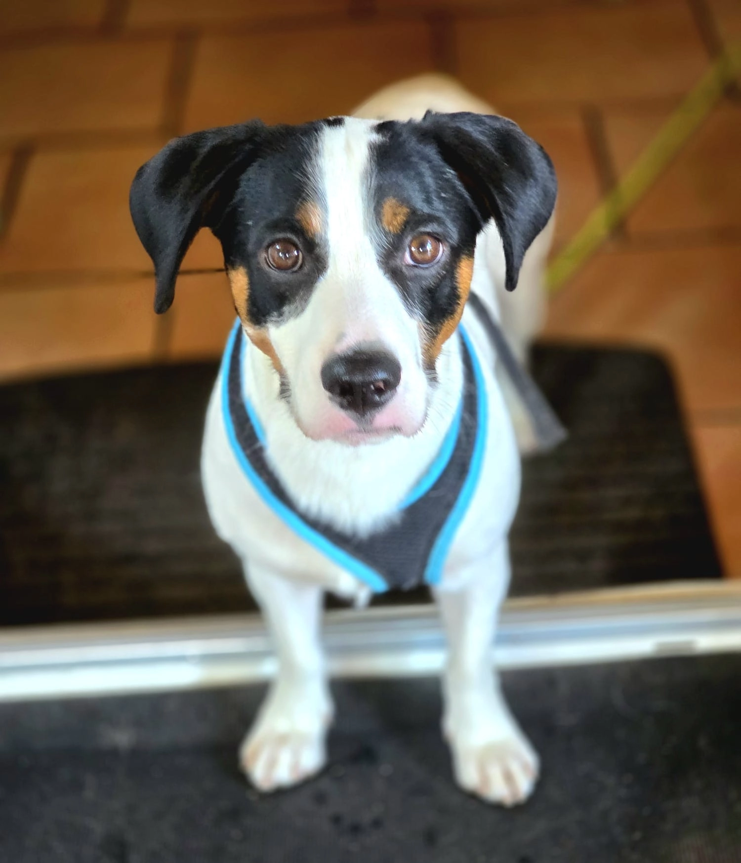 Ugo - Route Du Tir Fédéral, Givisiez