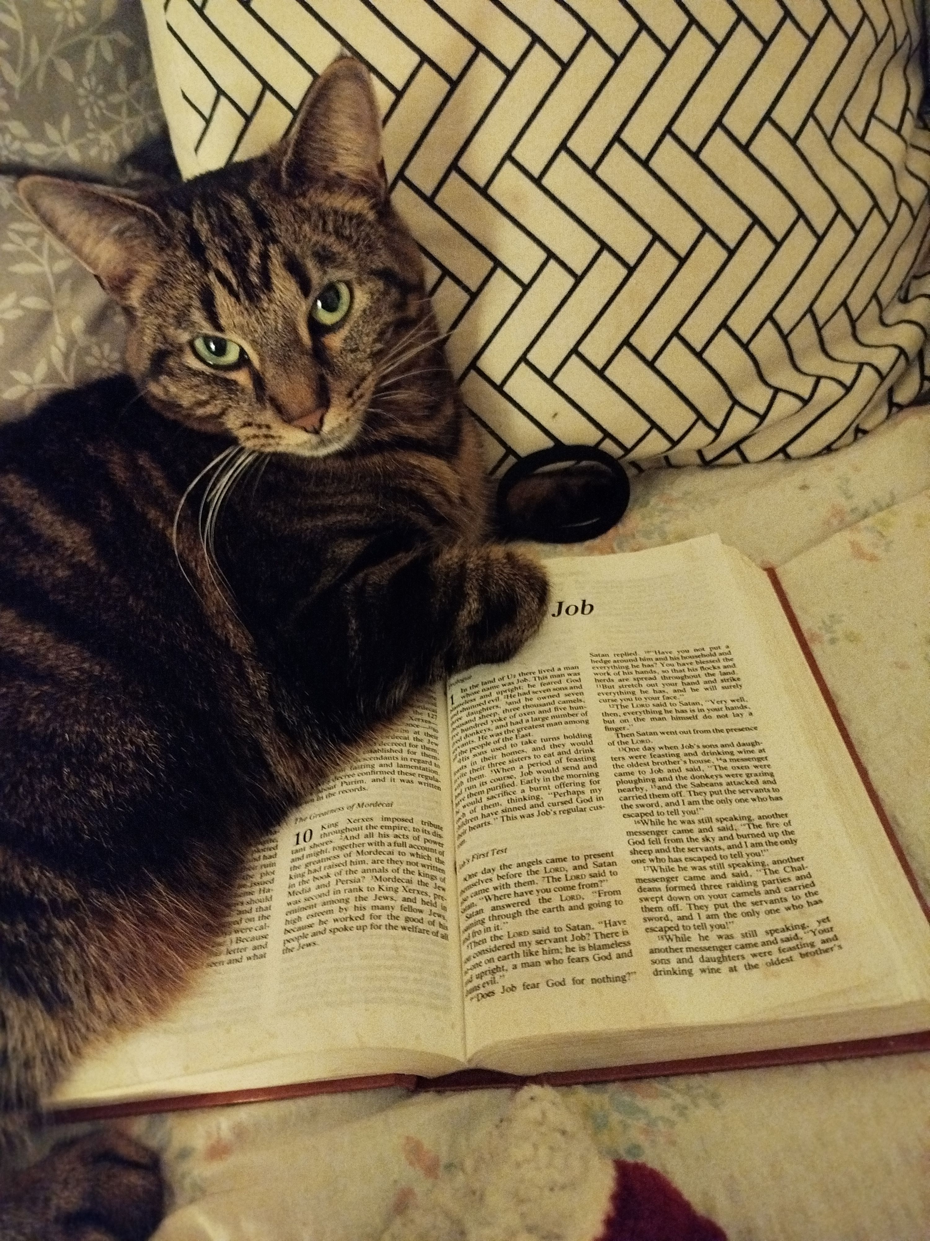 Winnie - Kungla 10, Tallinn