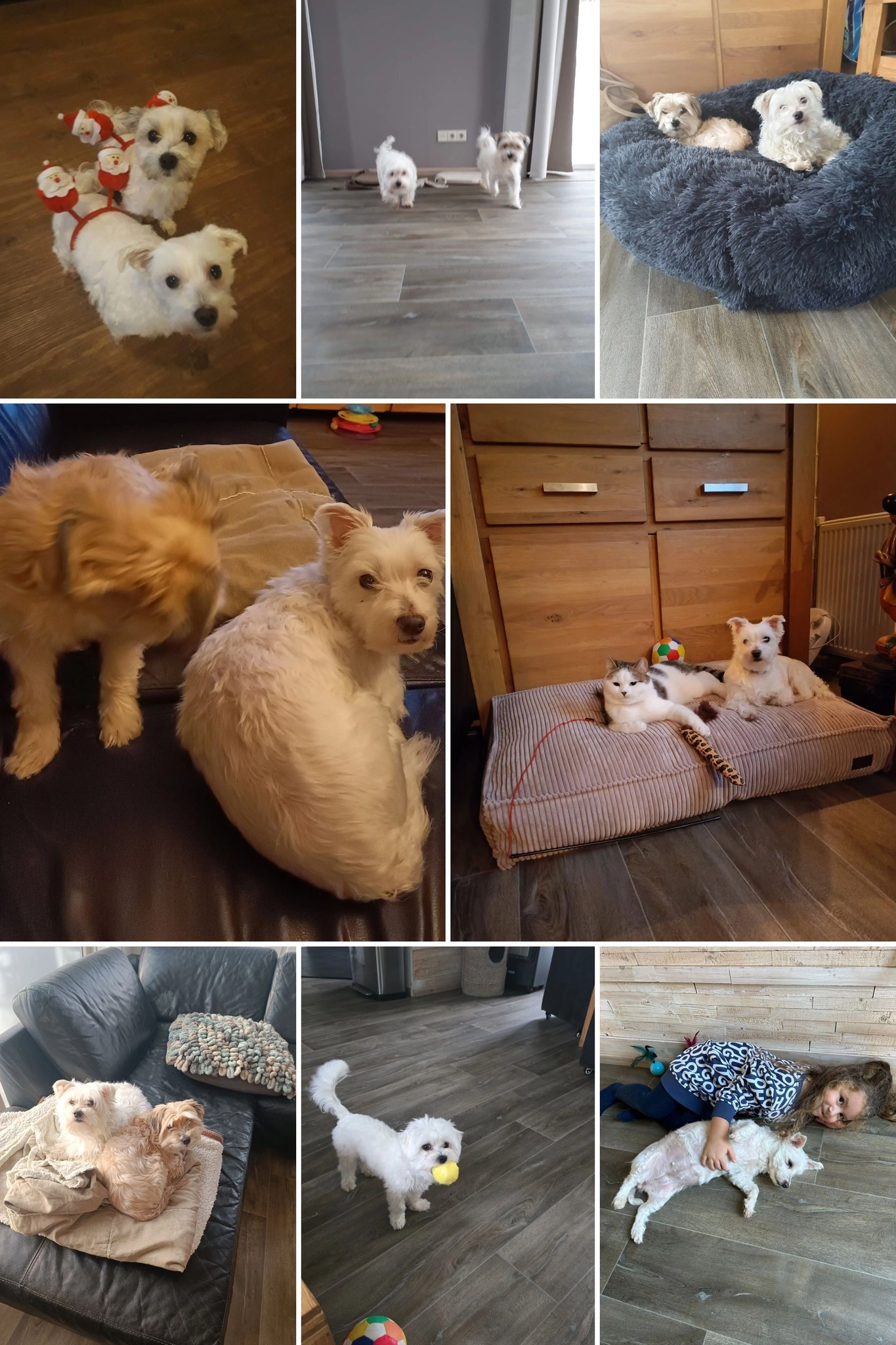 belle - Vrusschenhusken, Heerlen