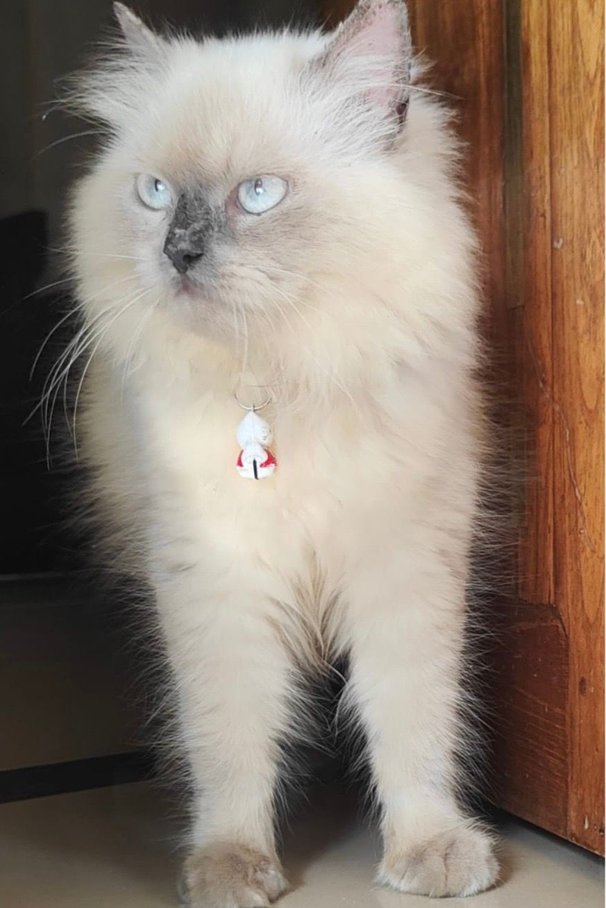 Zeze - Vyasa Nagar, Thiruvananthapuram