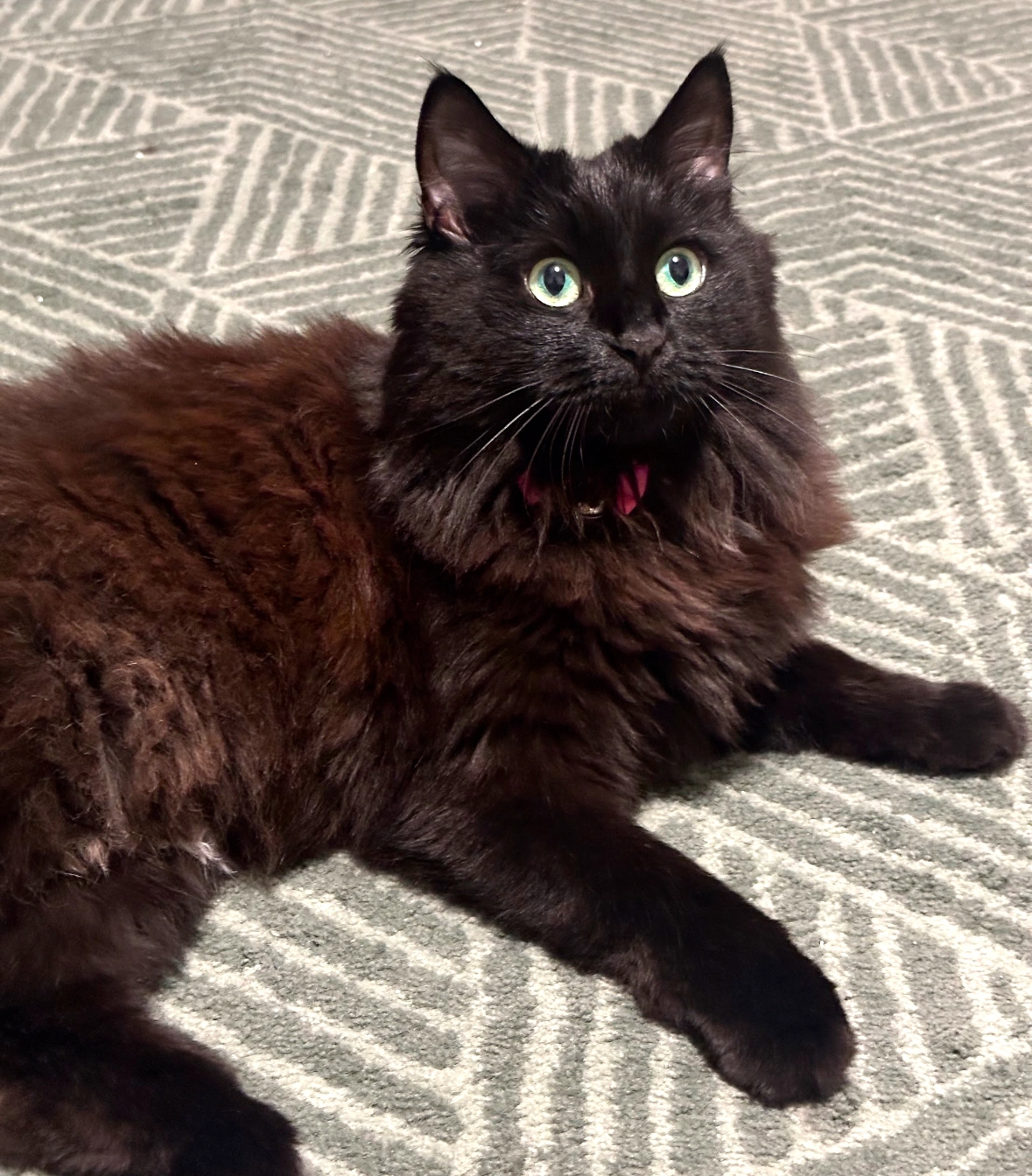 Mayi - Brookdeich 7, Hamburg