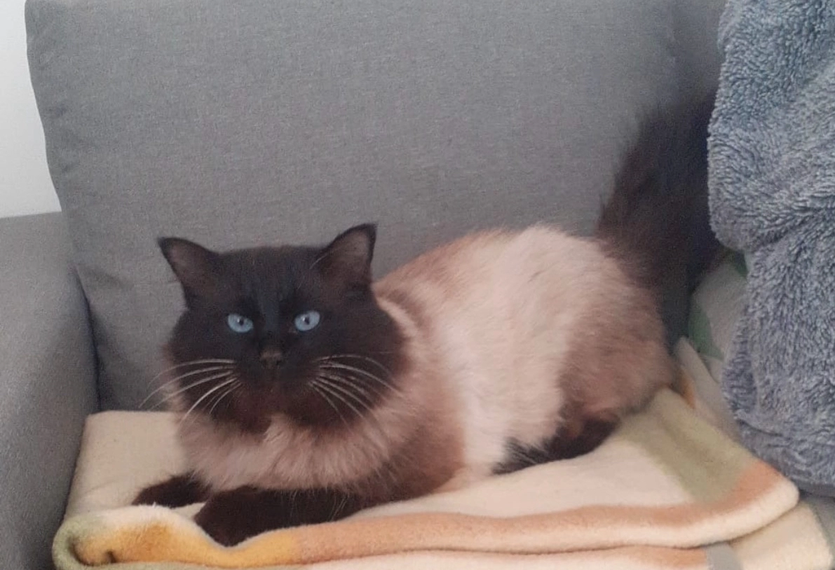 Sjoma - Uhlandstraße, Niederzier