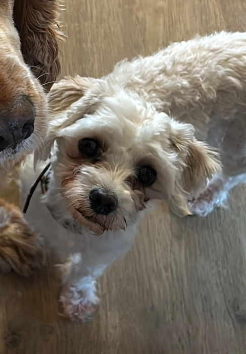 Dotja - Oudsbergerweg 95, Oudsbergen