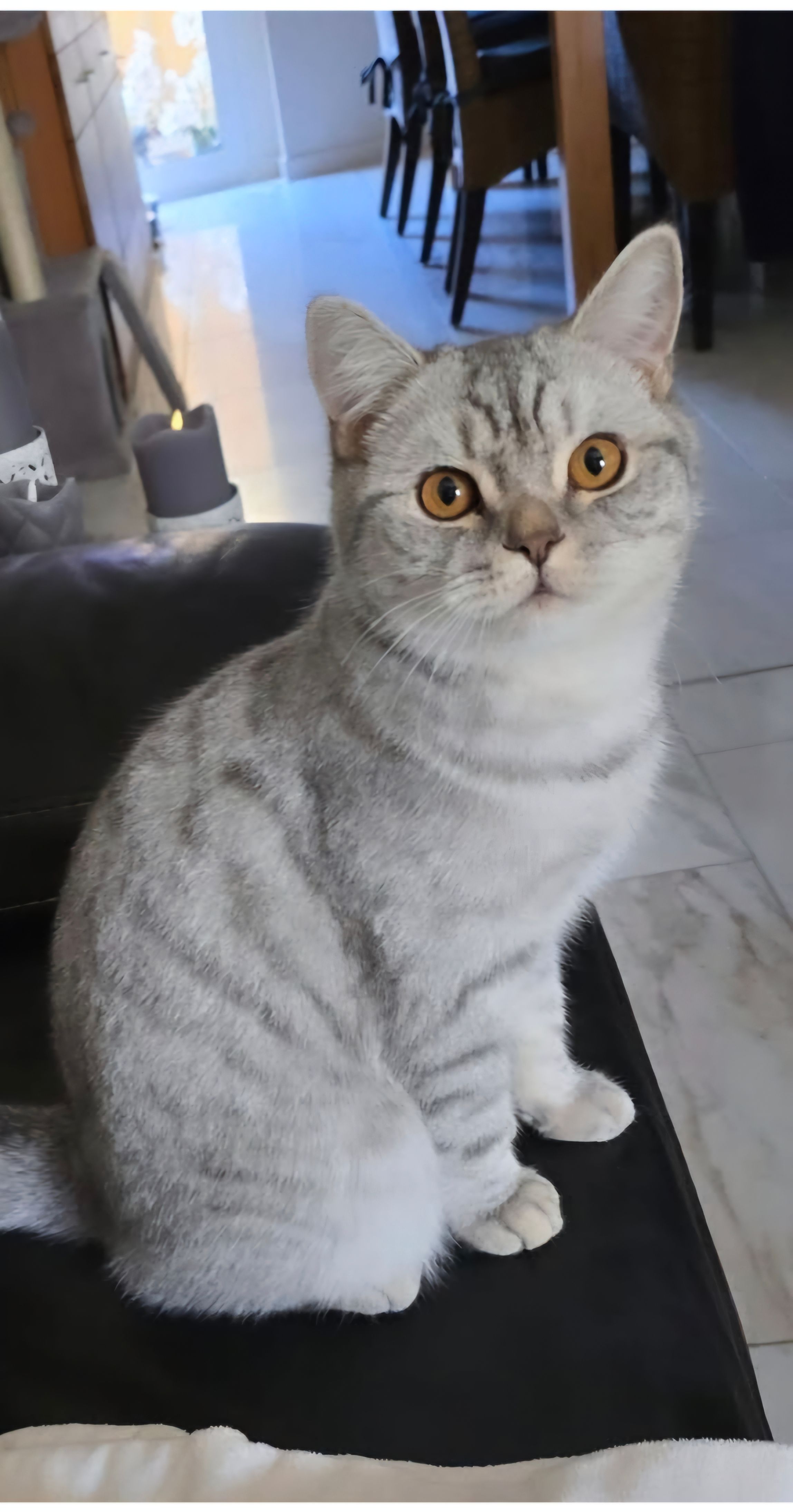 Eddy - Bahnhofstraße, Stendal