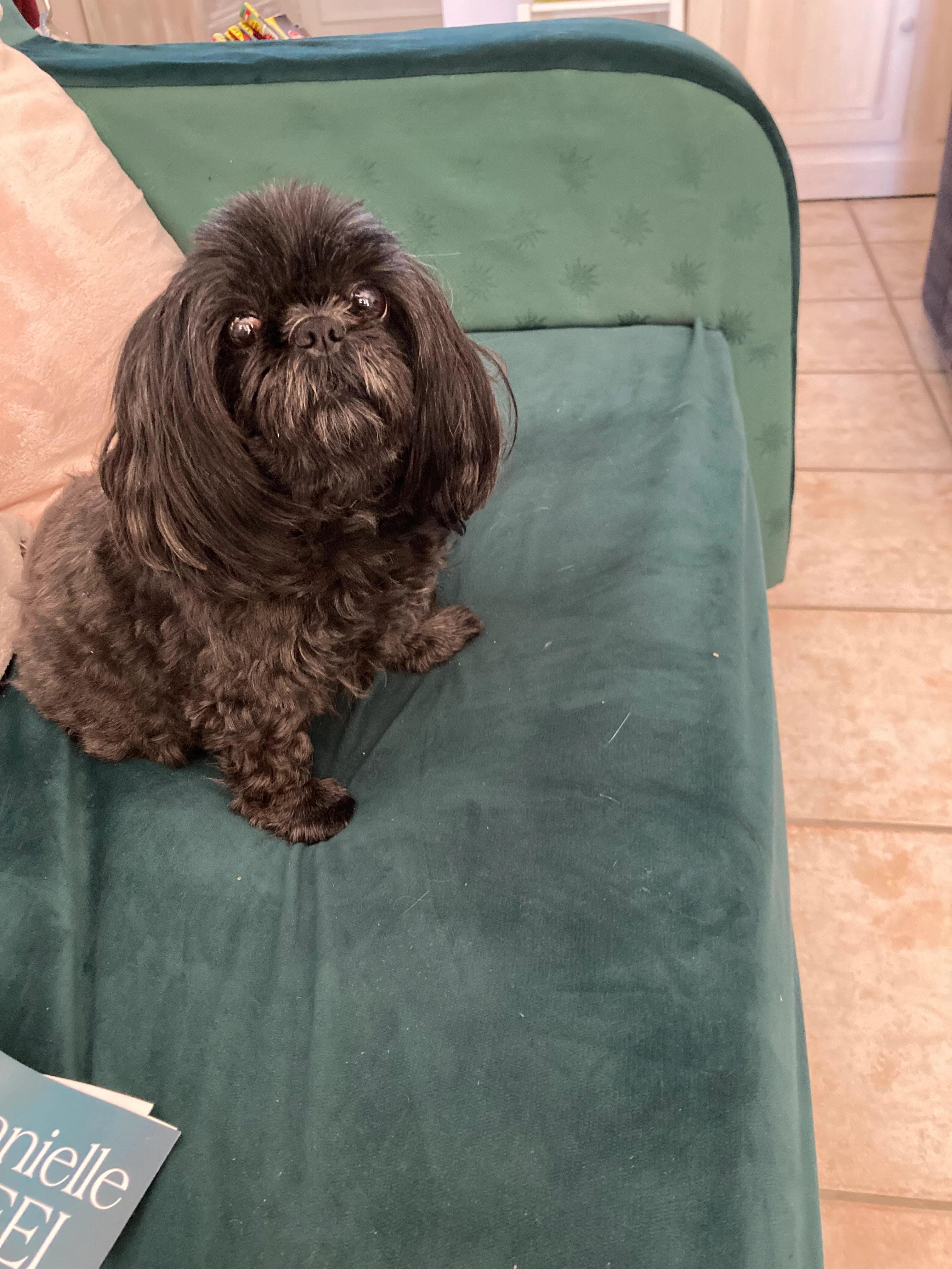 Mimi - Rue du Simond, Guéreins