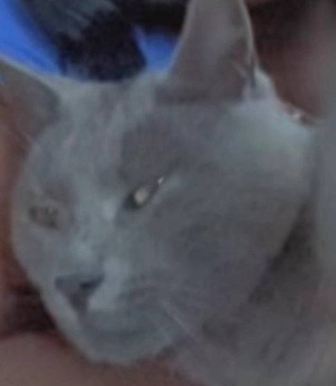 Caramel  - 3 Impasse des Vergers, Jouarre