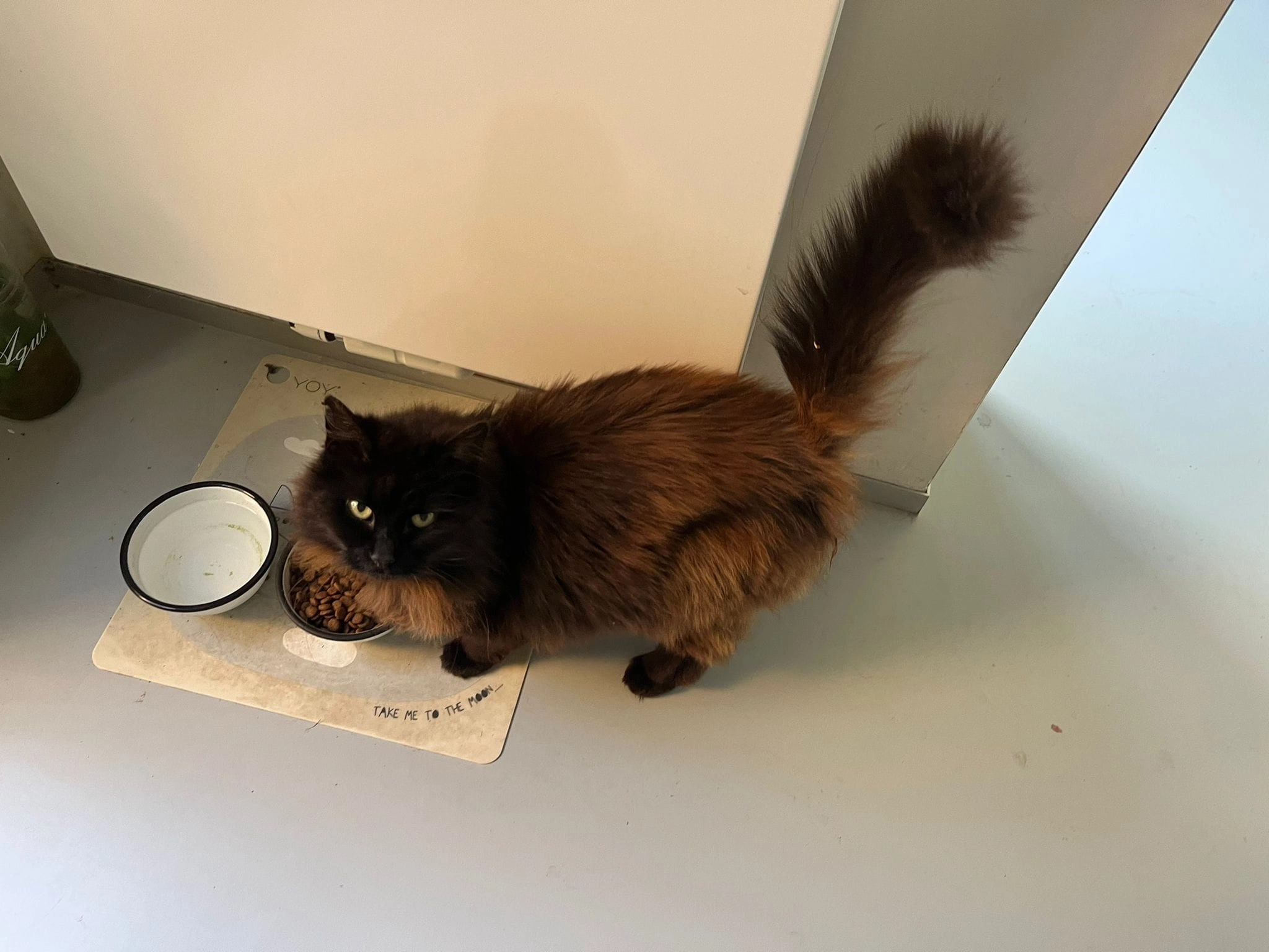 Loes - Meersstraat 104, Gent