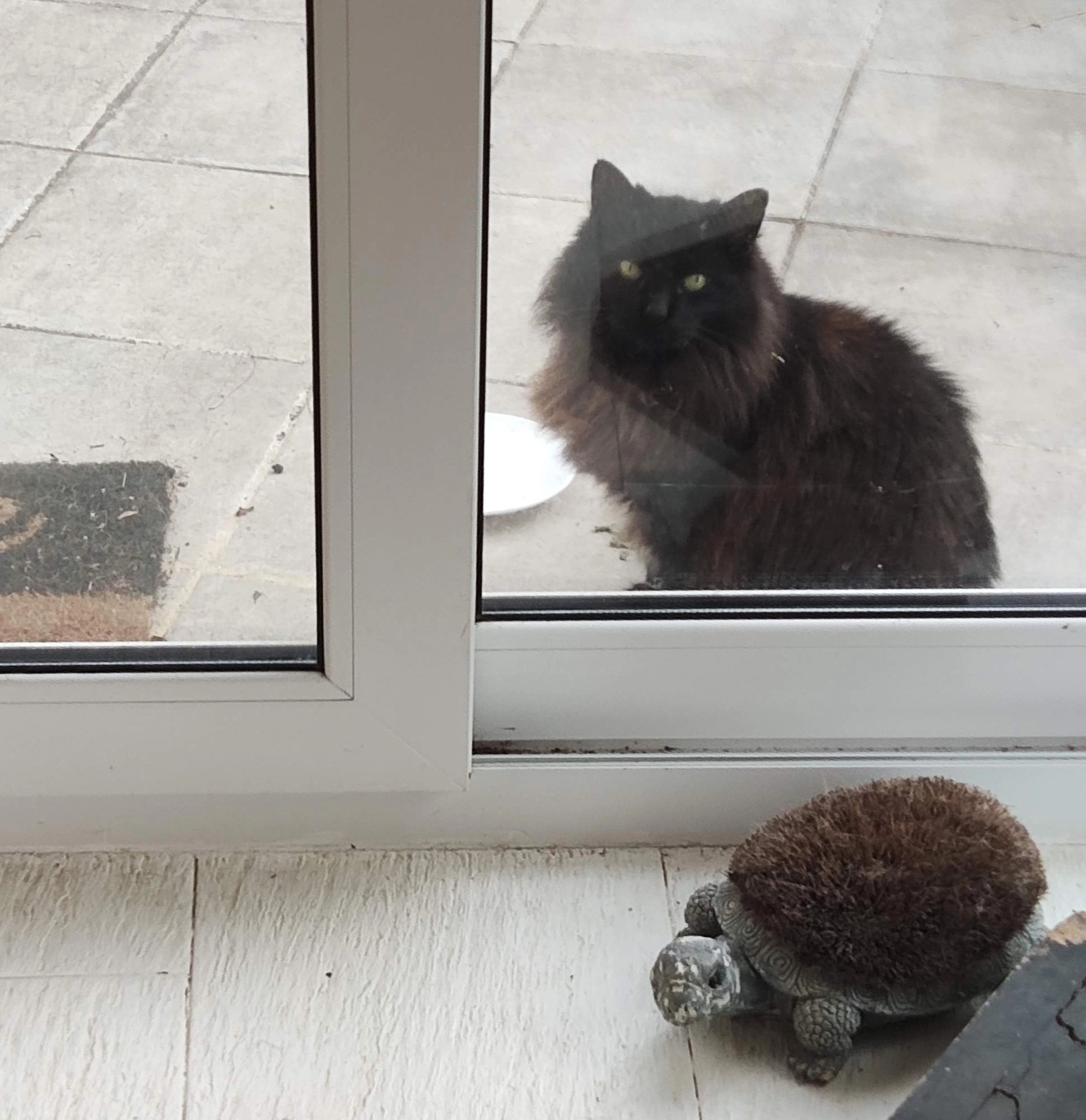 Amaris and Bruni - Carrer de Ricard Canals 19, Lloret de Mar