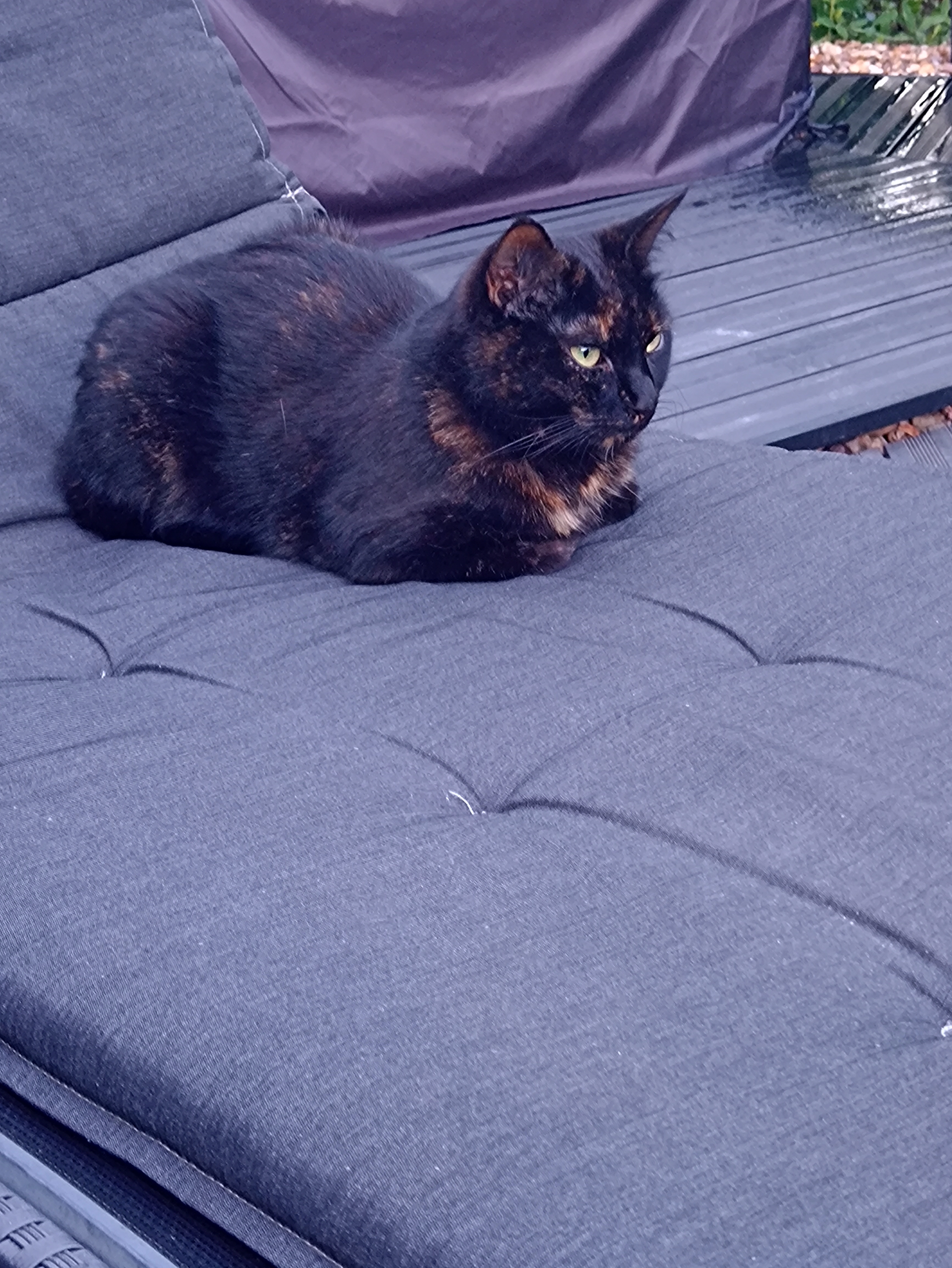 Elli - Uhlandstraße, Köthen