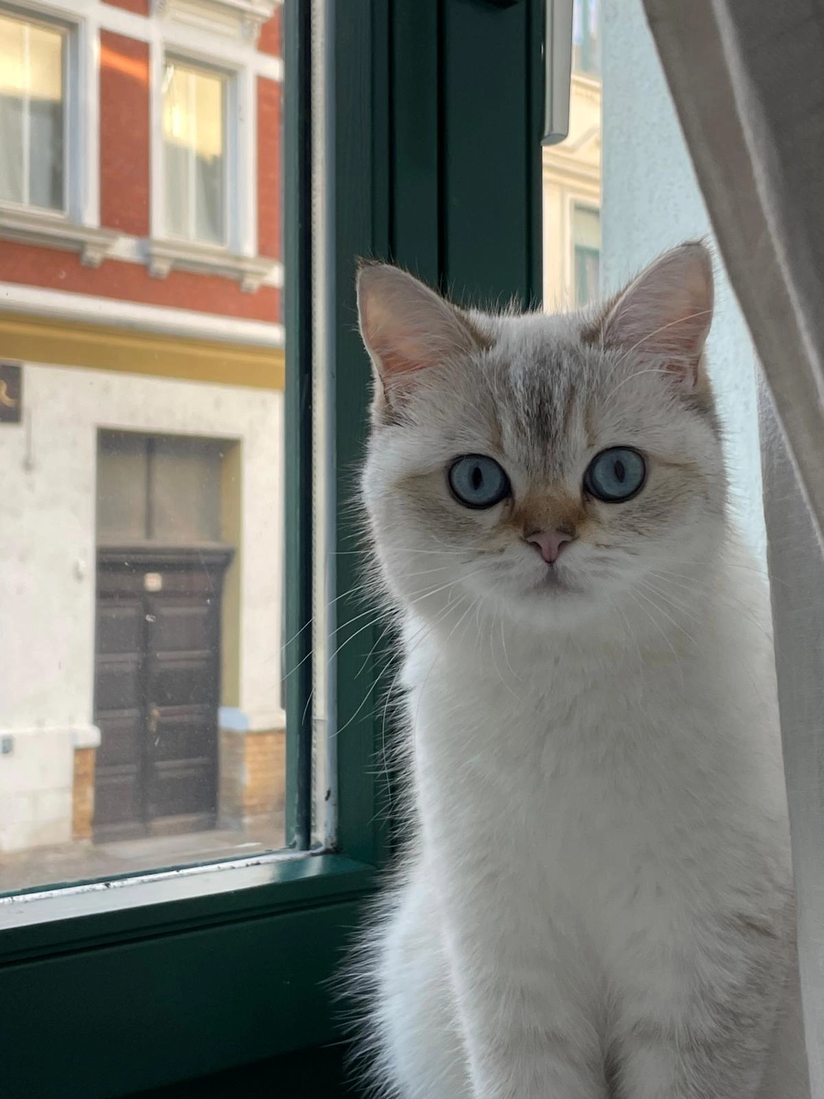 Punani - Prellerstraße 25, Leipzig