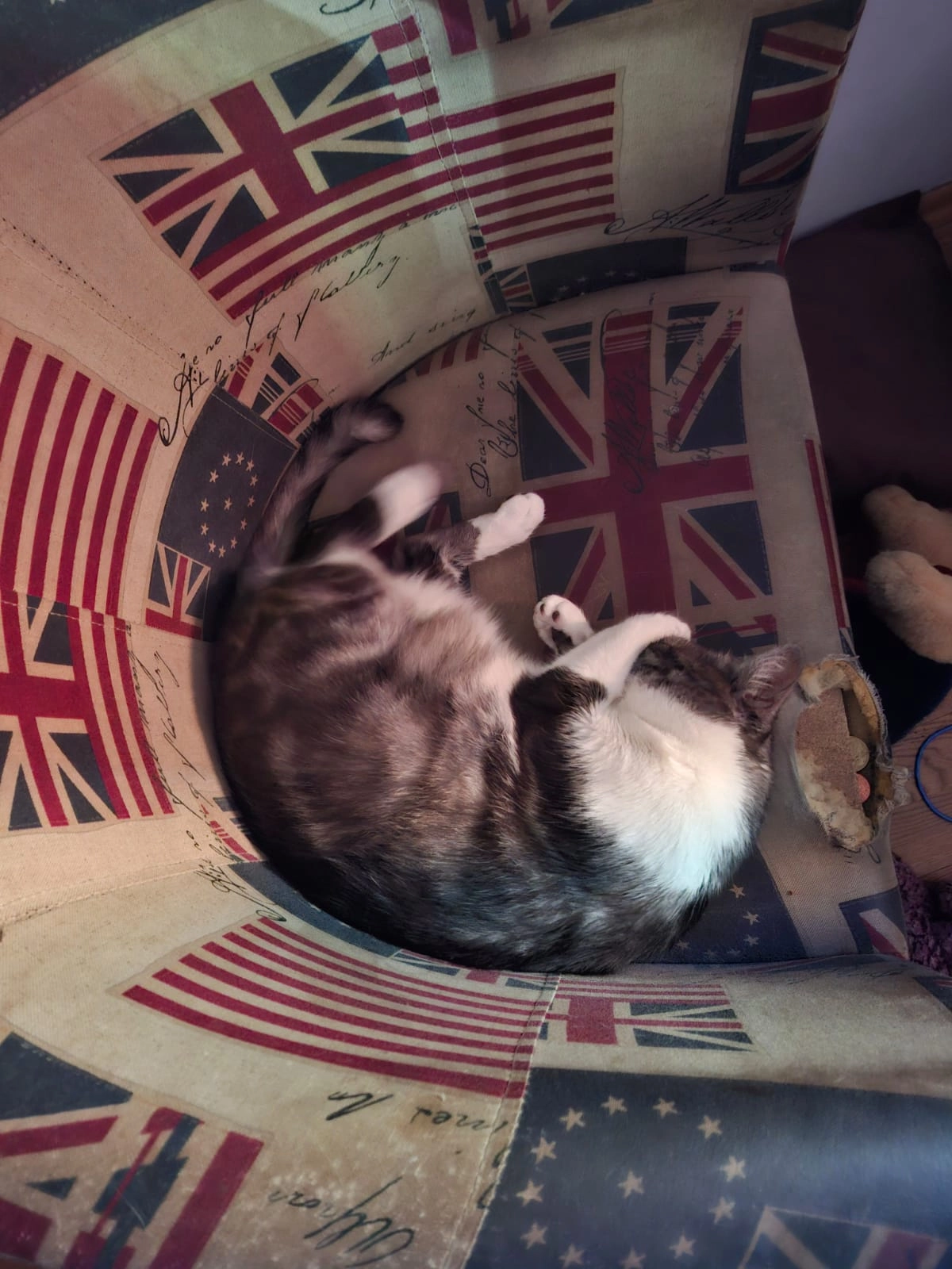 Minki - Peter-Rosegger-Straße, Graz