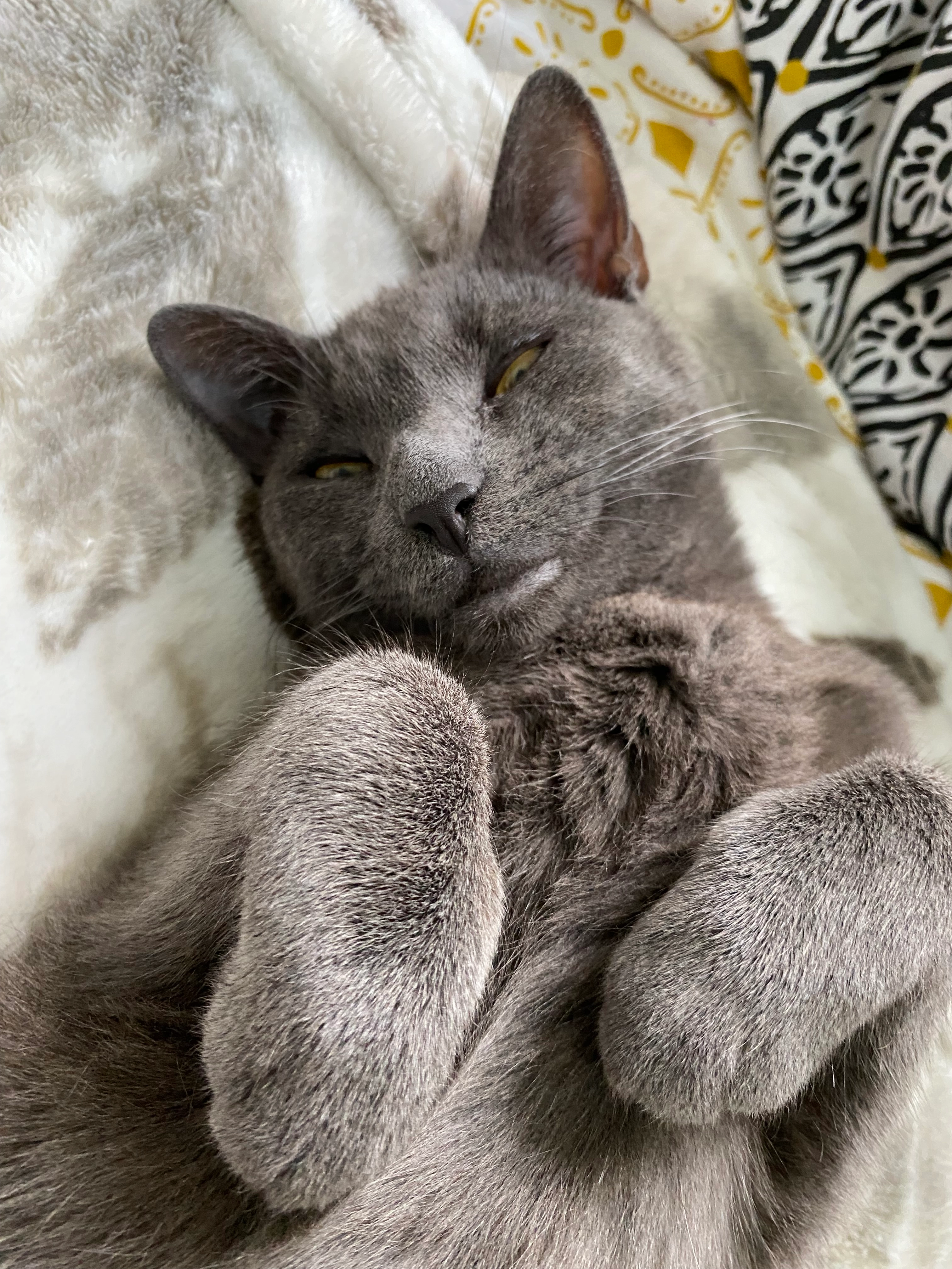 Cachemire - Rue du Clos des Vignes, Janvry