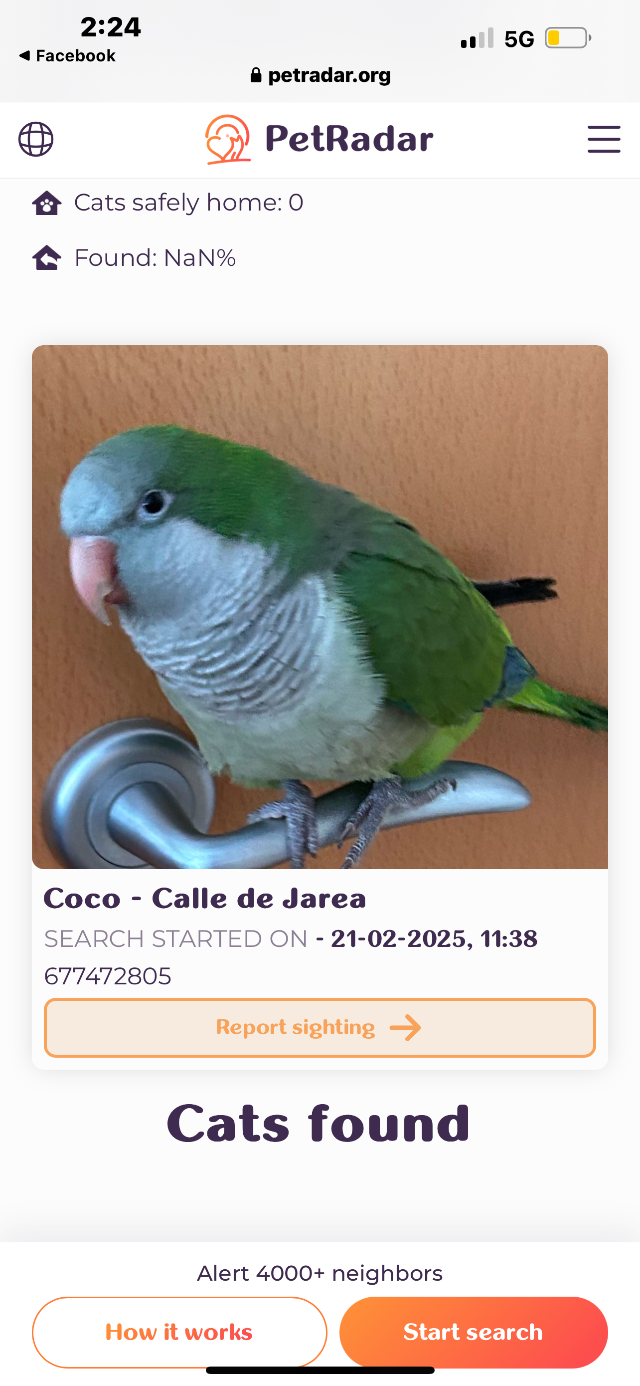 Coco - Calle de Jarea 34, Altura