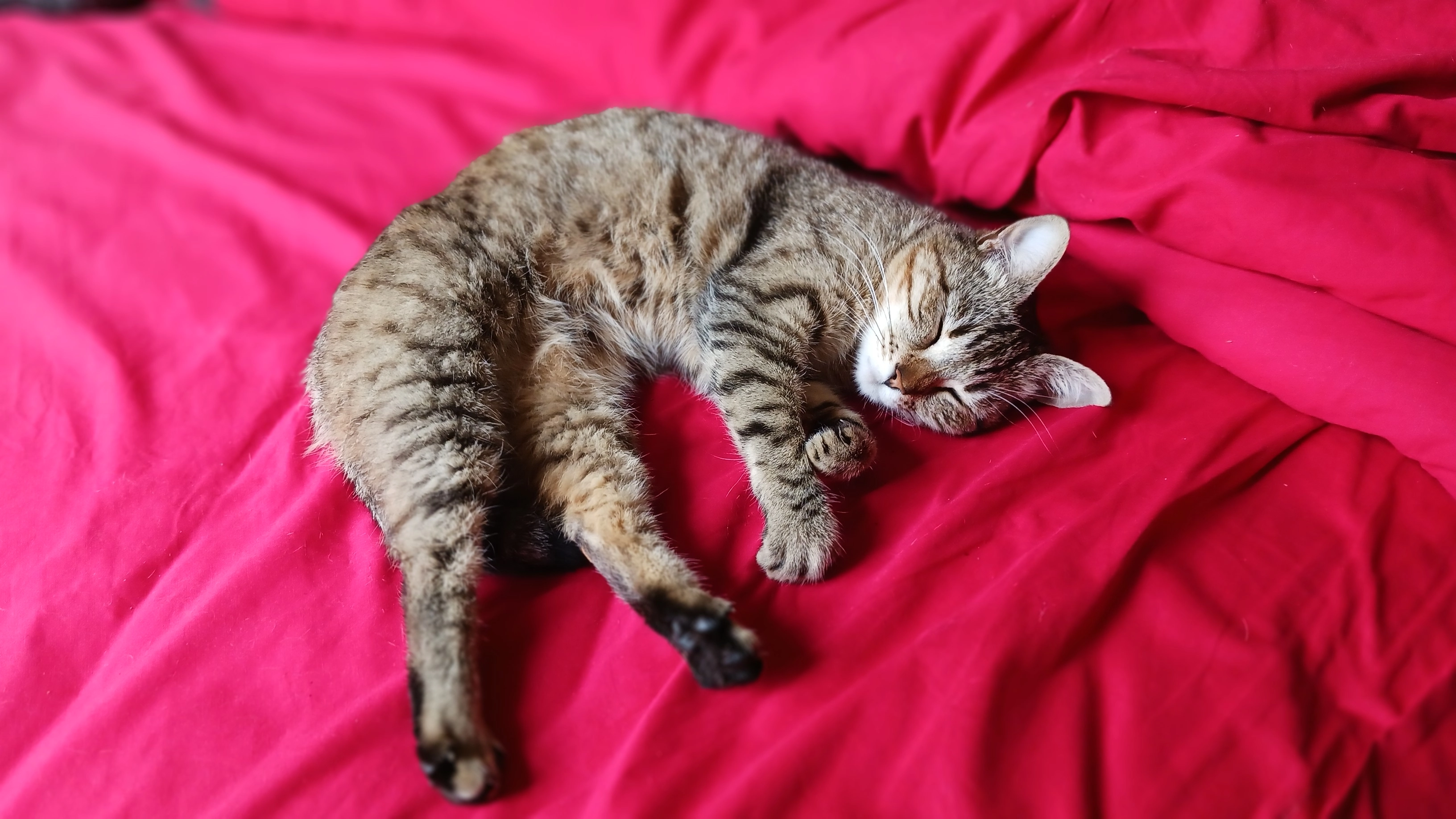 Ulule - Route Du Château, Granges-d'Ans