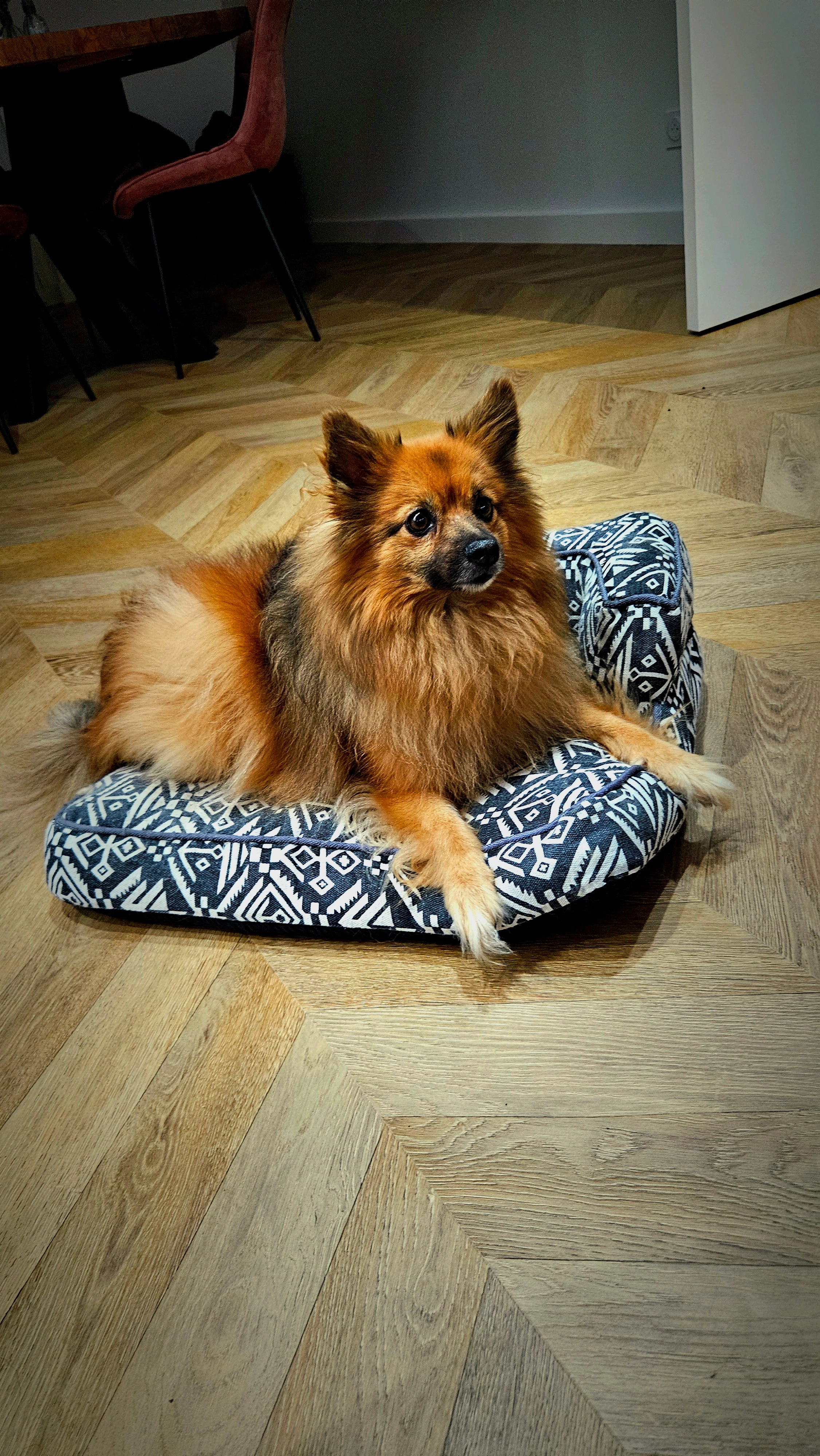 Maina - Résidence Les Jardins De La Colline 2, Trélissac