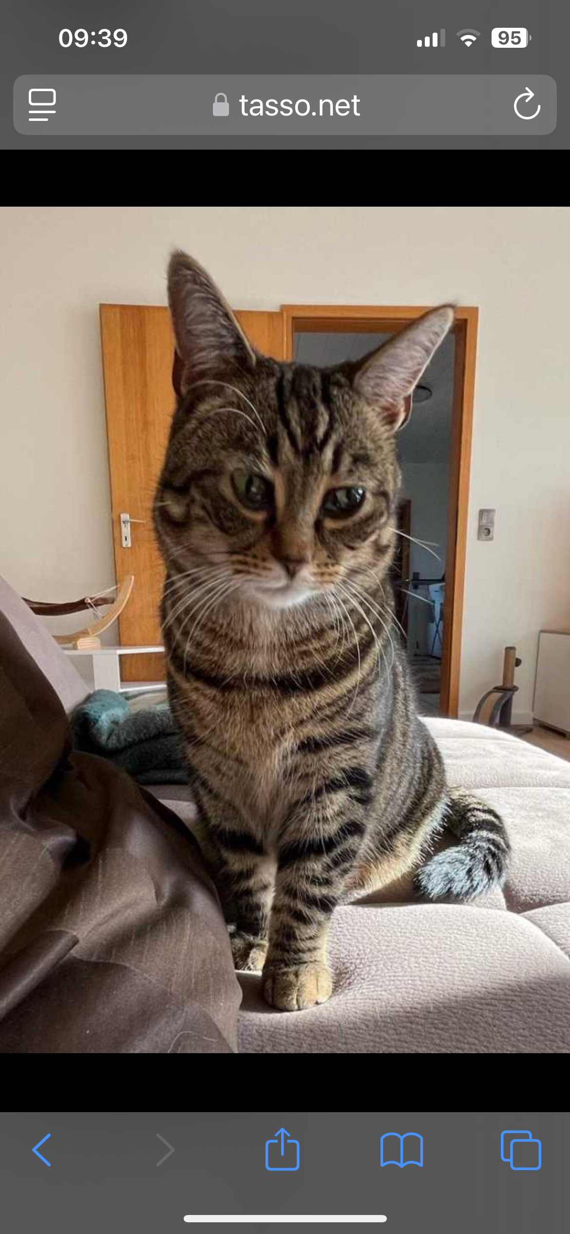 Tammy - Mittelreihe, Böklund