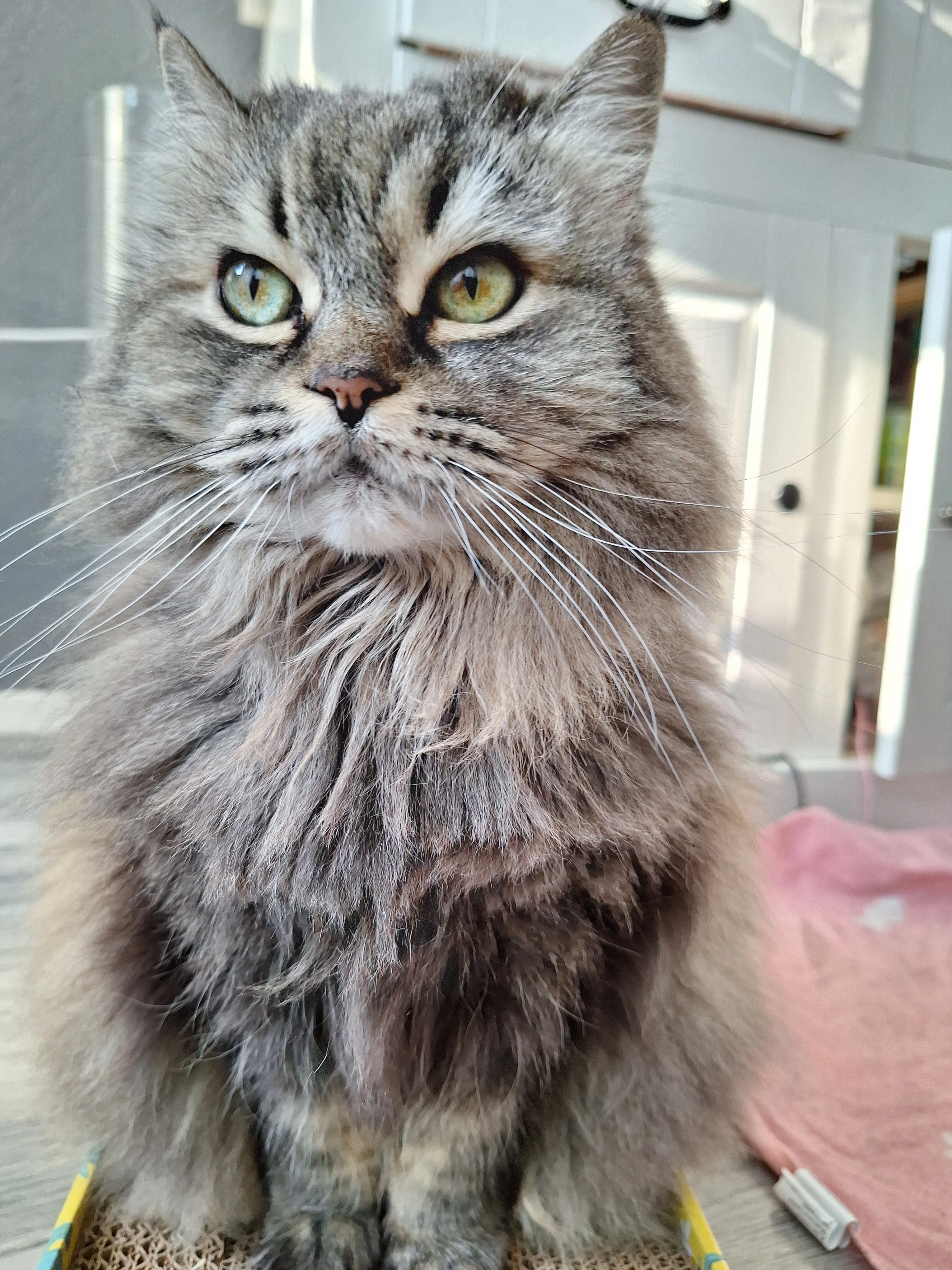 Luna - Lageweg, Enschede