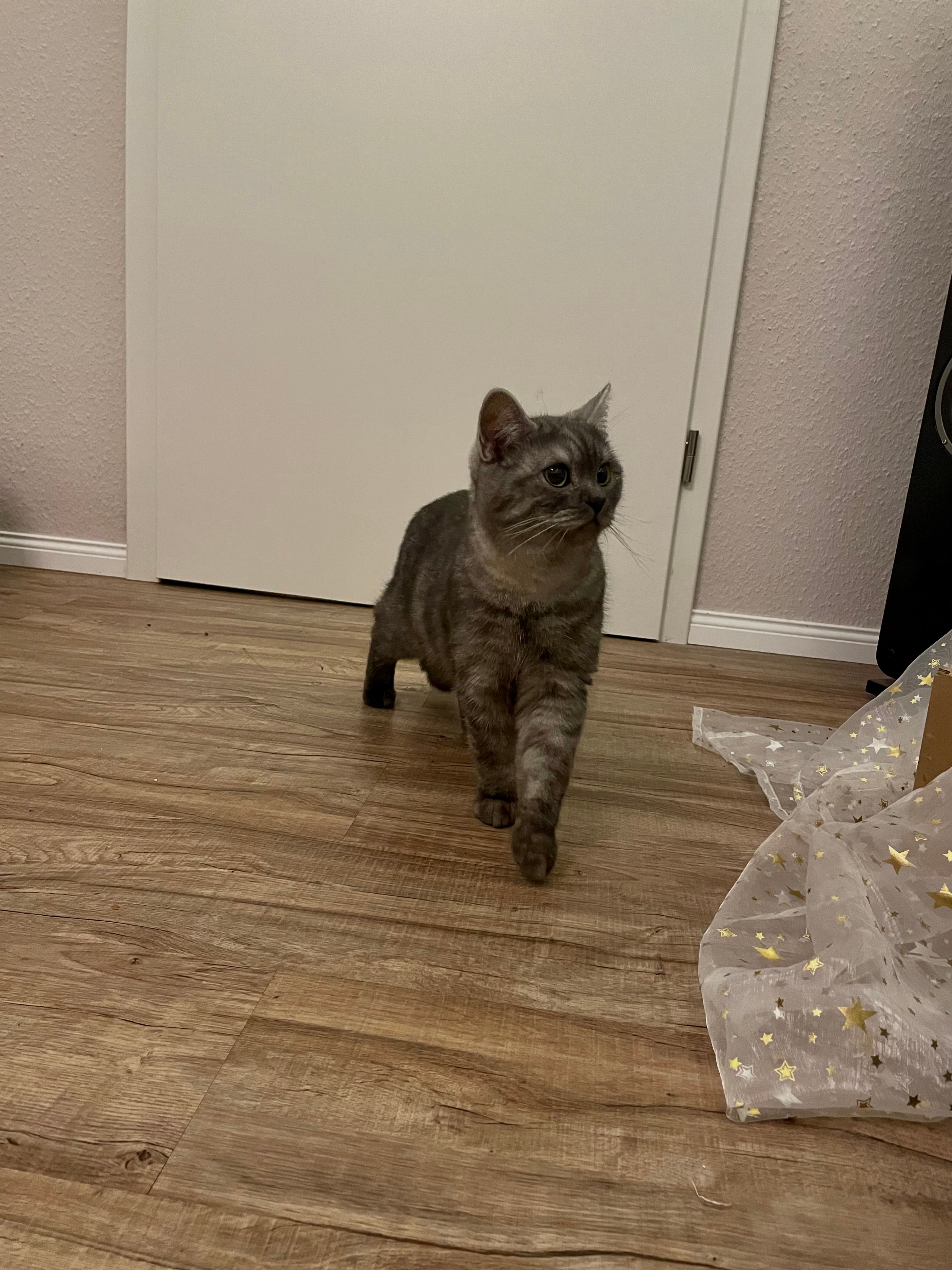 Kasper  - Rothweg, Kirchheim