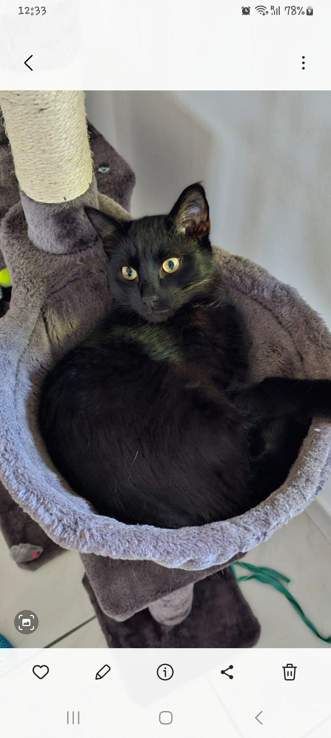 Jimmy - Merolserstraße 74, Lontzen