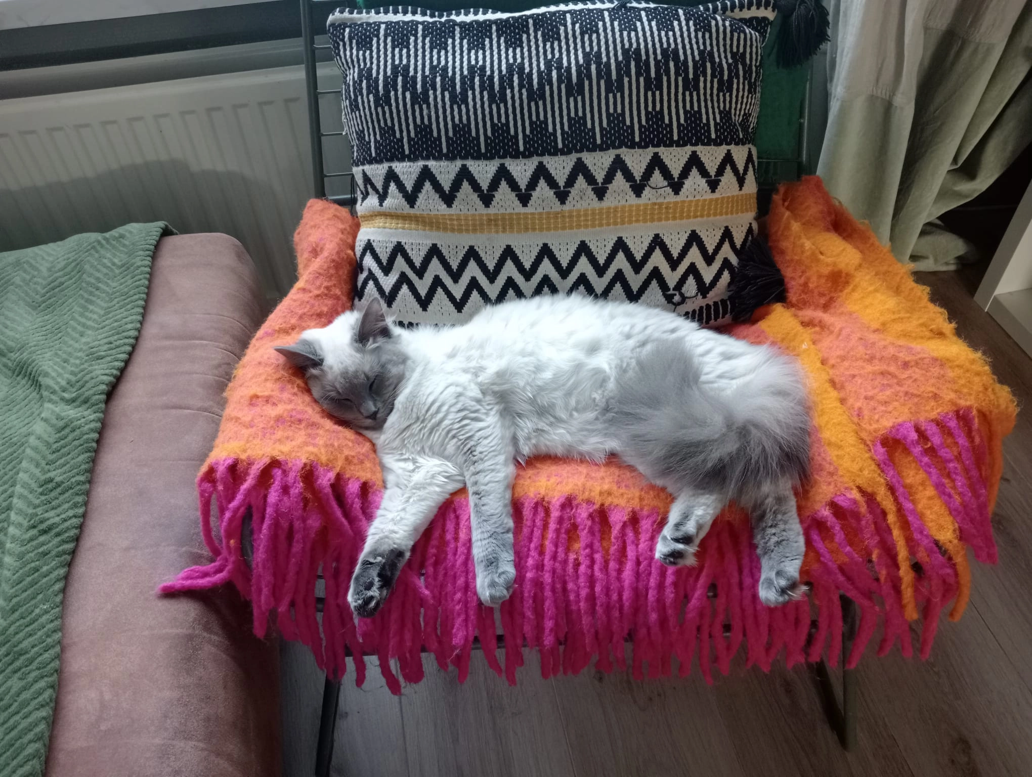 Coco - Bostulp 36, Assen