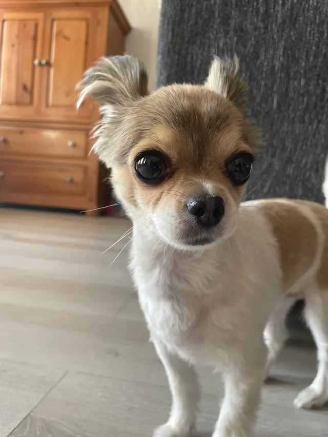 Suki - Northwest 9th Way, Deerfield Beach