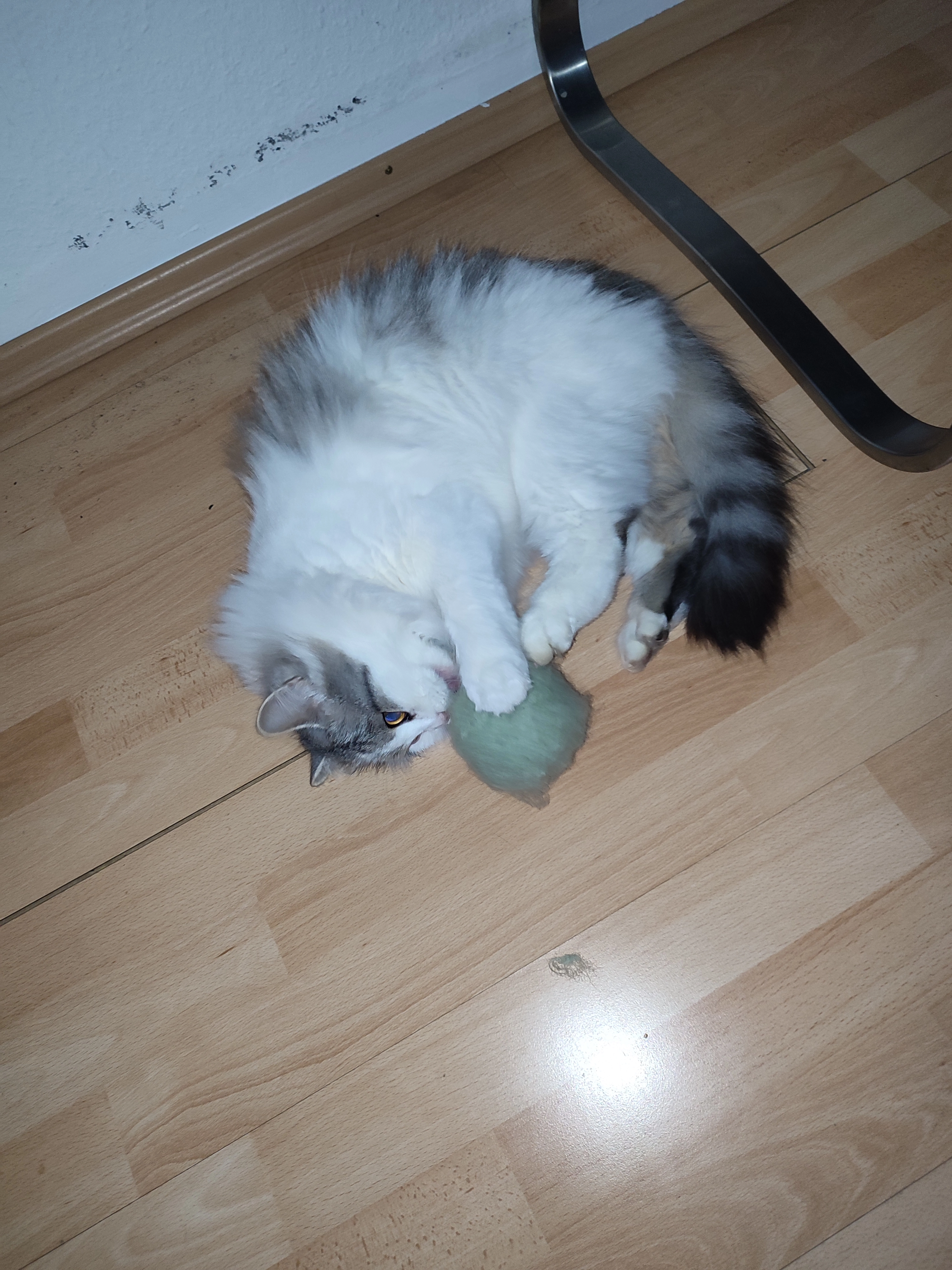 Cleo - Unterkaltbrunner Straße, Rosenheim