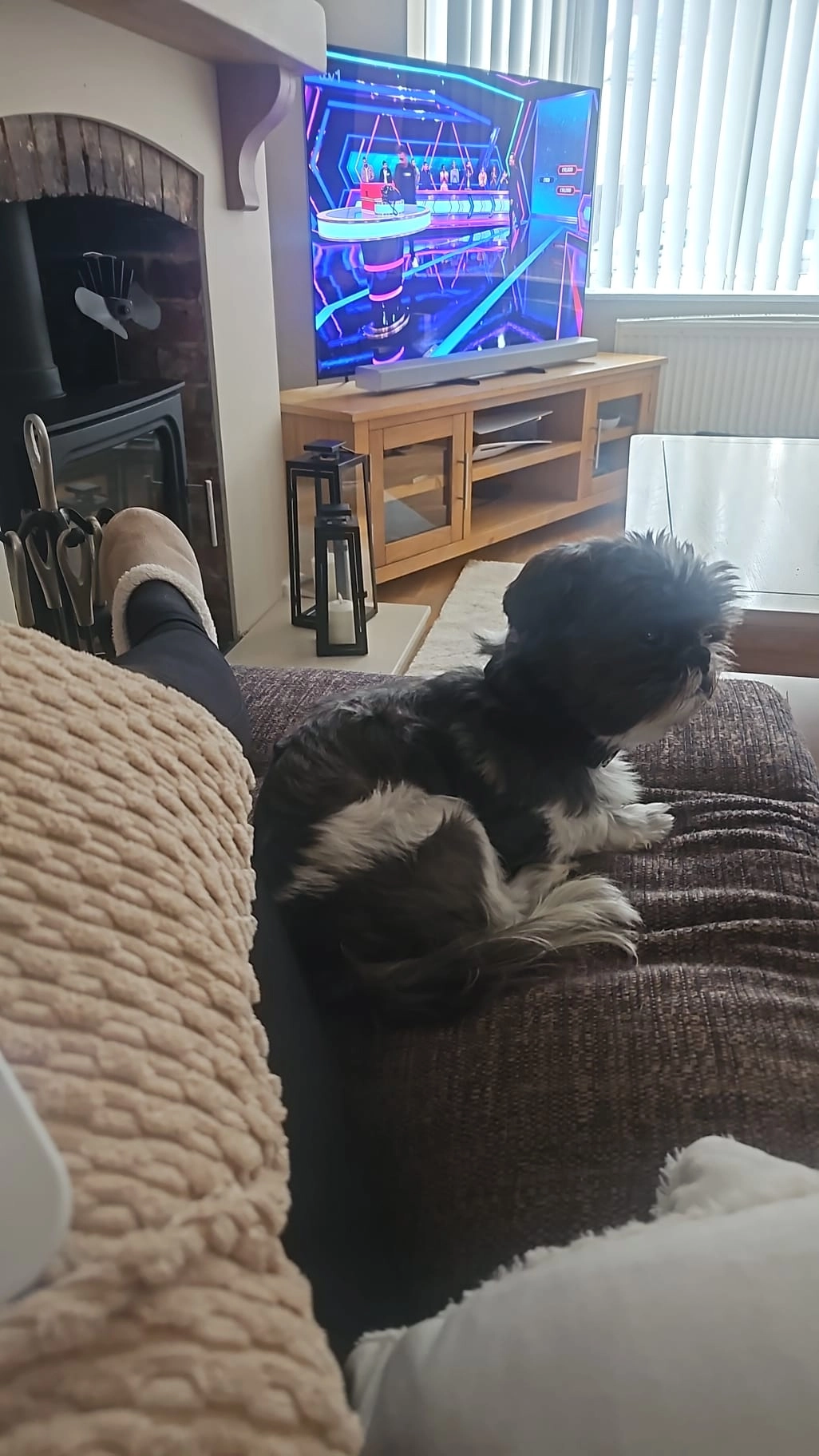 Buddy  - Winchester Road, Southampton