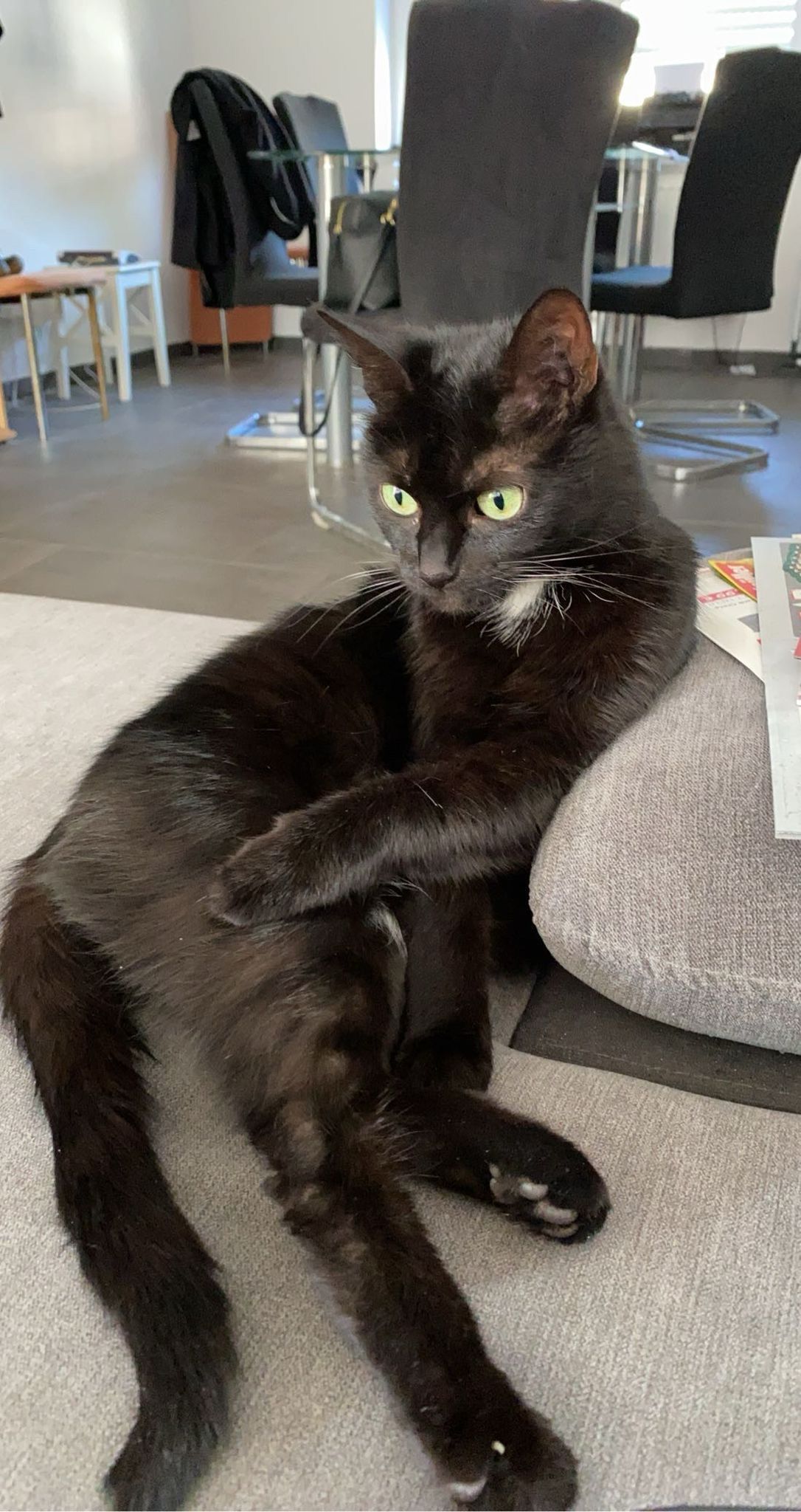 Bacardi - Ellinghorst, Rheine