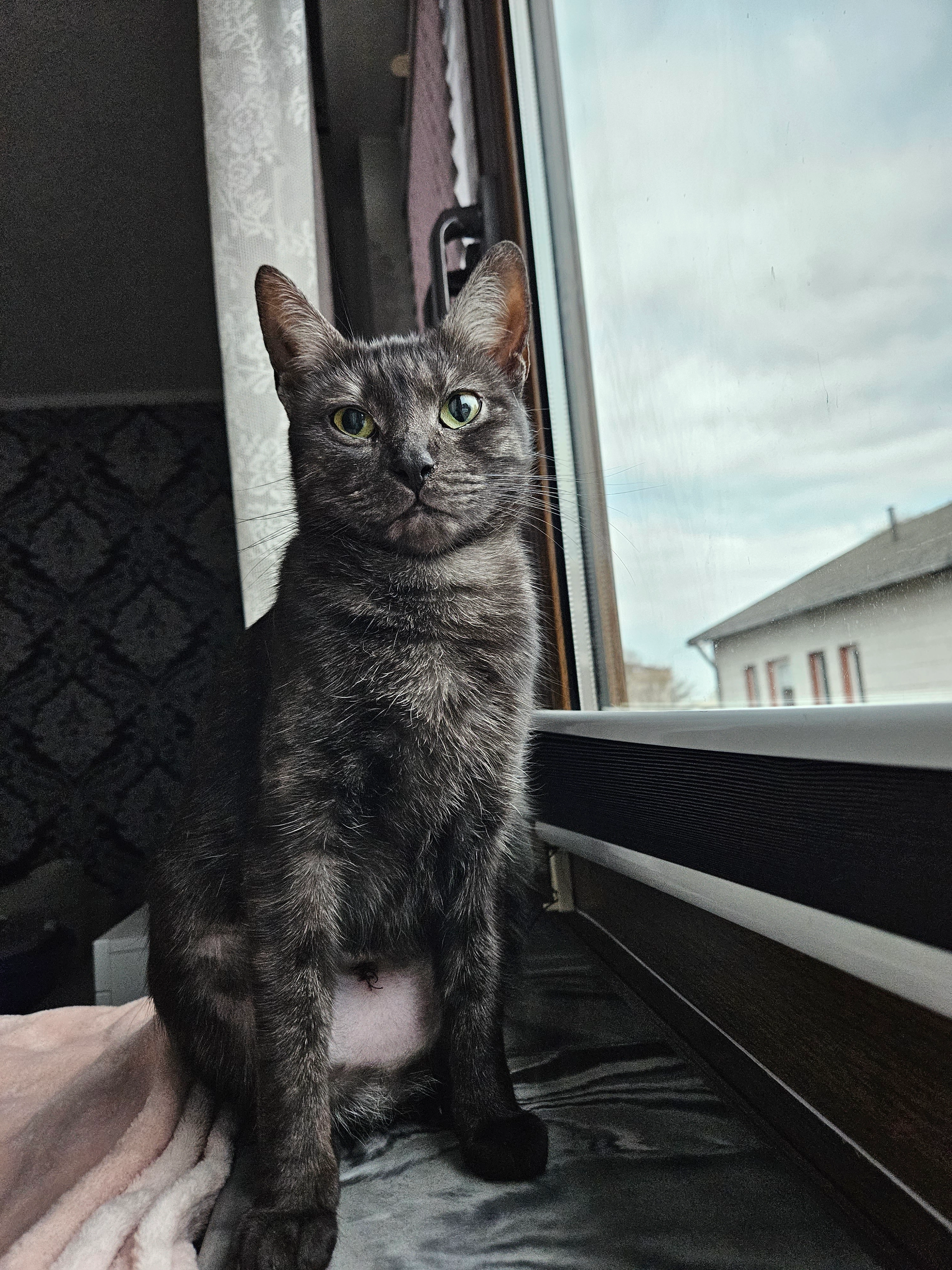 Angel - Alte Schmelze, Wiesbaden