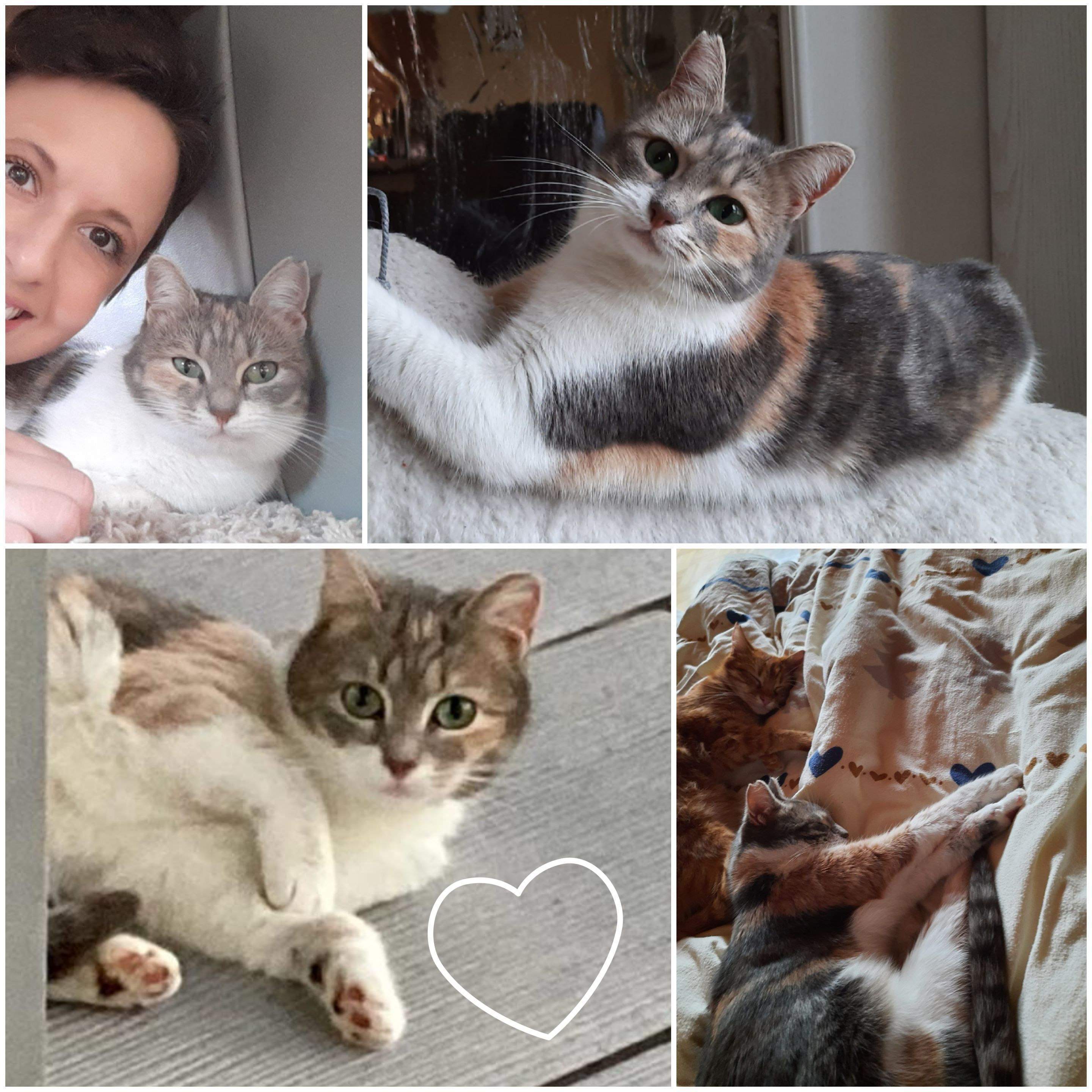 Trixie - Steigeweg, Großheubach