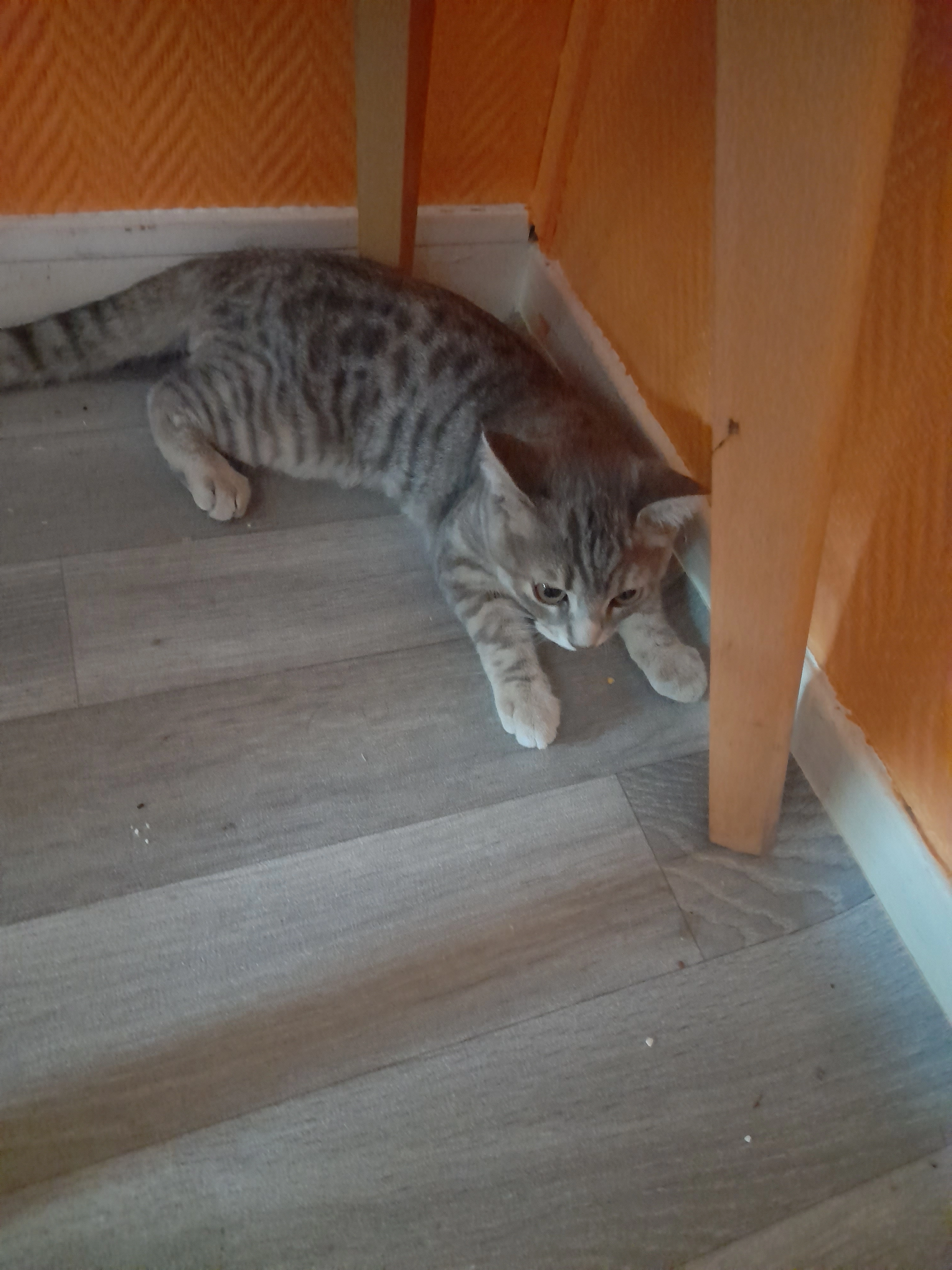 Je ne sais pas - Avenue du Général de Gaulle, Drap