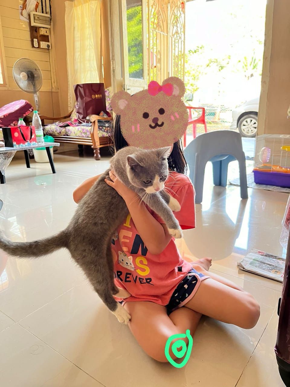 Miji（米吉）/shau Mee小咪 - 82000, Pontian District