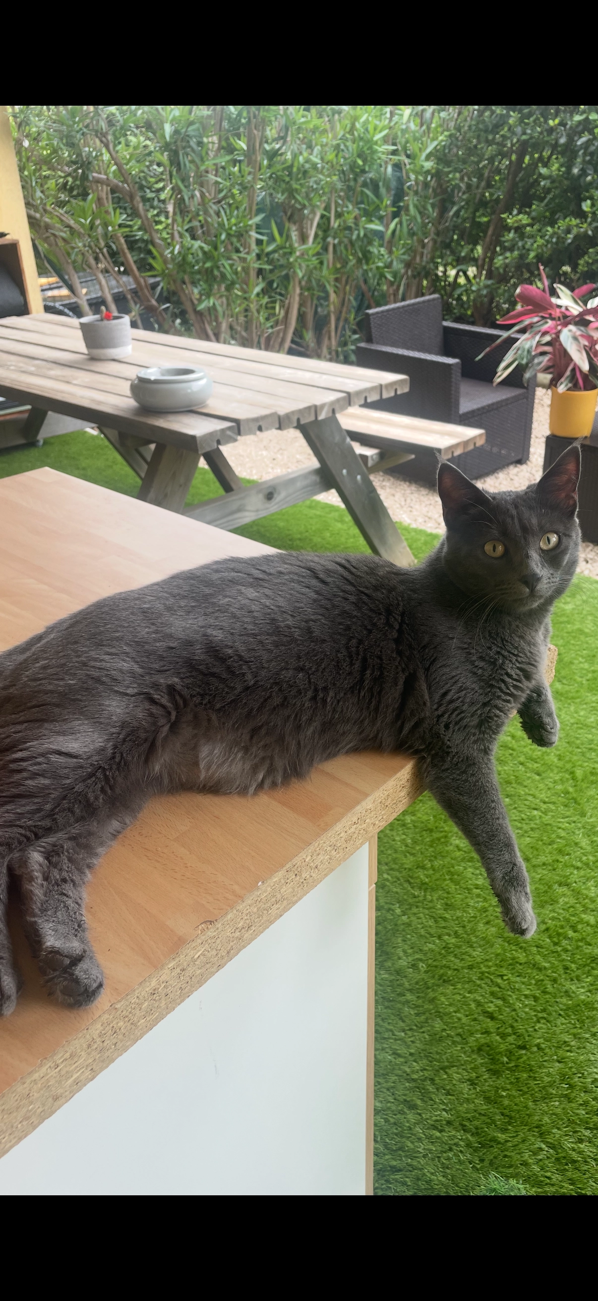 Tekila  - Allée Jean Zay, Draguignan