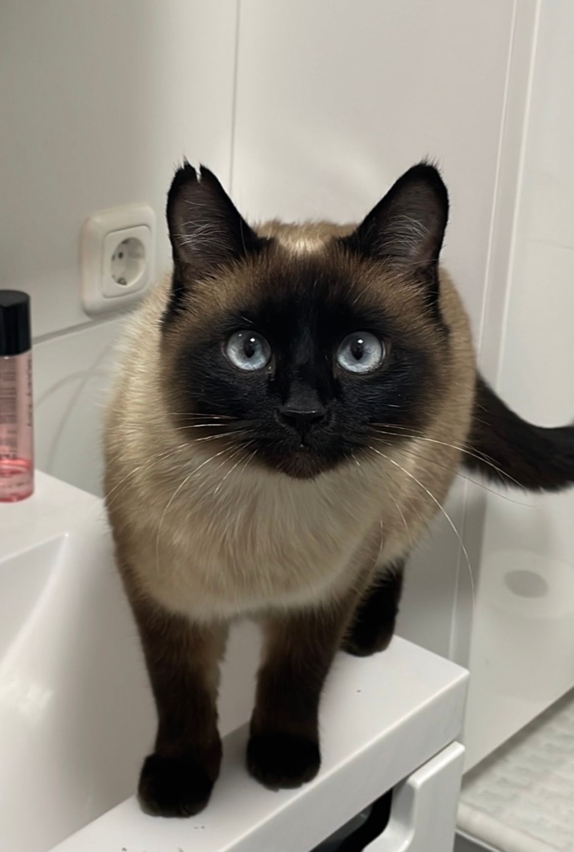 Maja - An der Pfingstweide, Gelnhausen