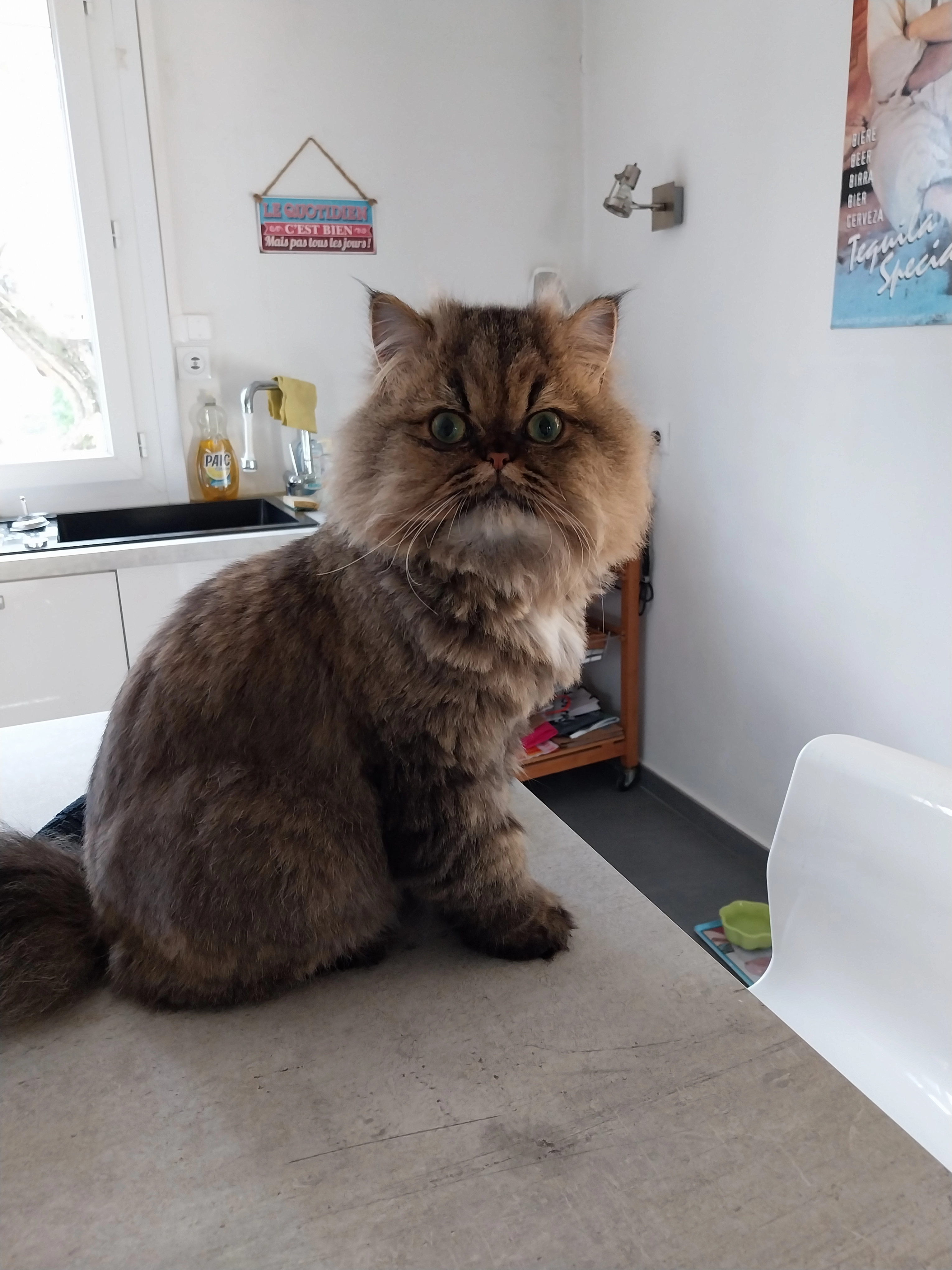 Nina - Lotissement La Coronne, Valréas