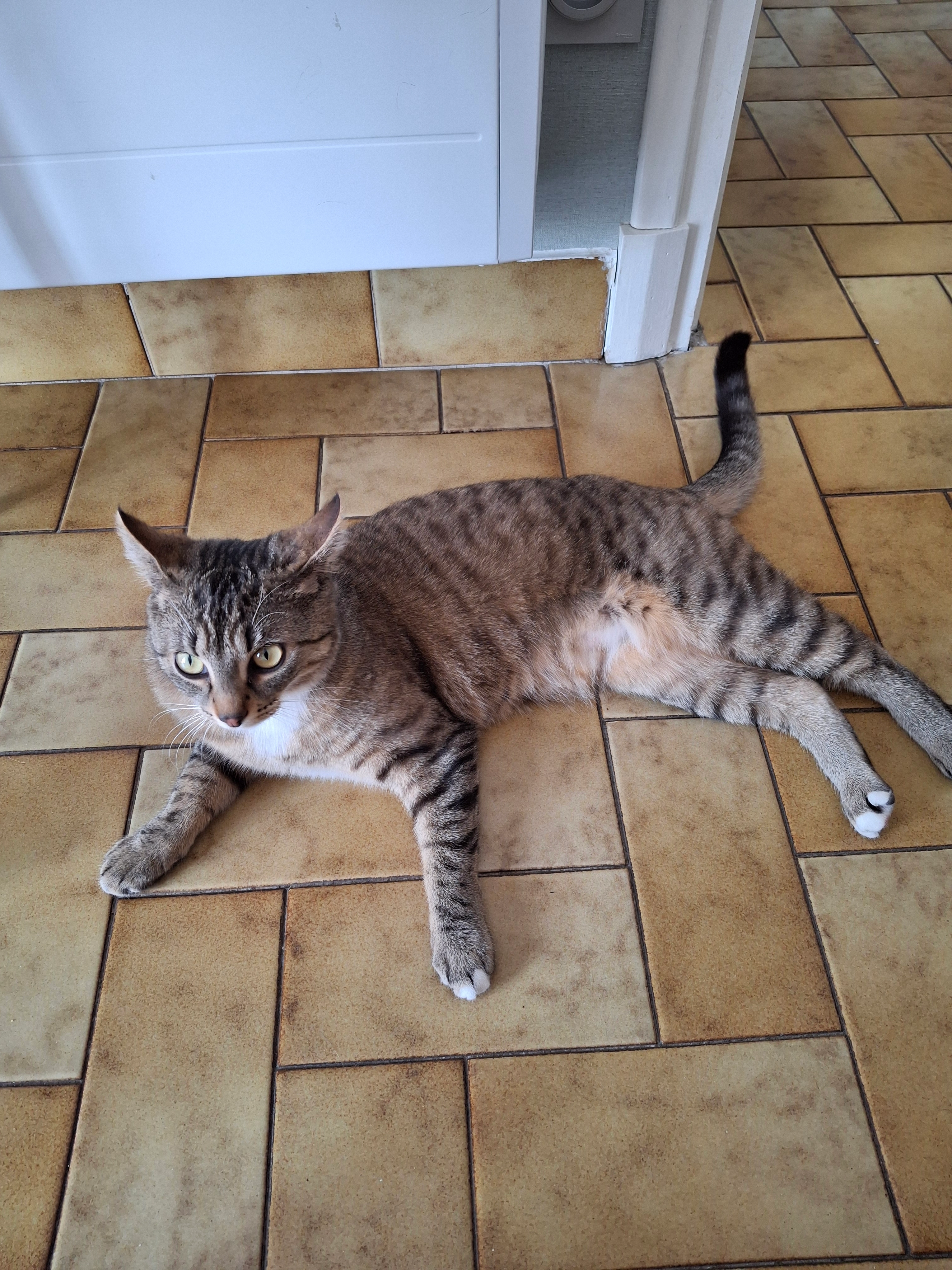 Xéna  - Rue Suzanne Valadon, Riorges