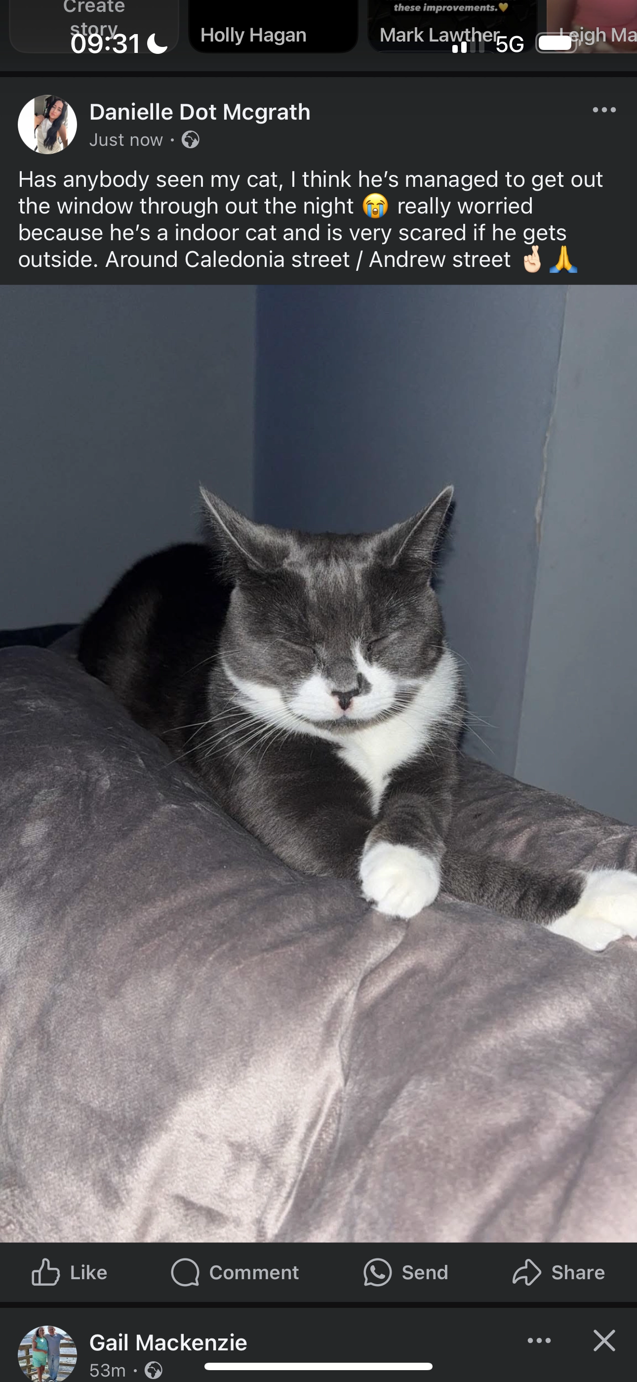 Smokey - Andrew Street, Paisley