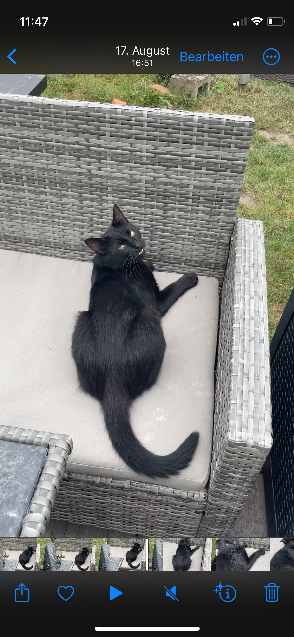 Shainy - Zum Dorfanger, Angermünde