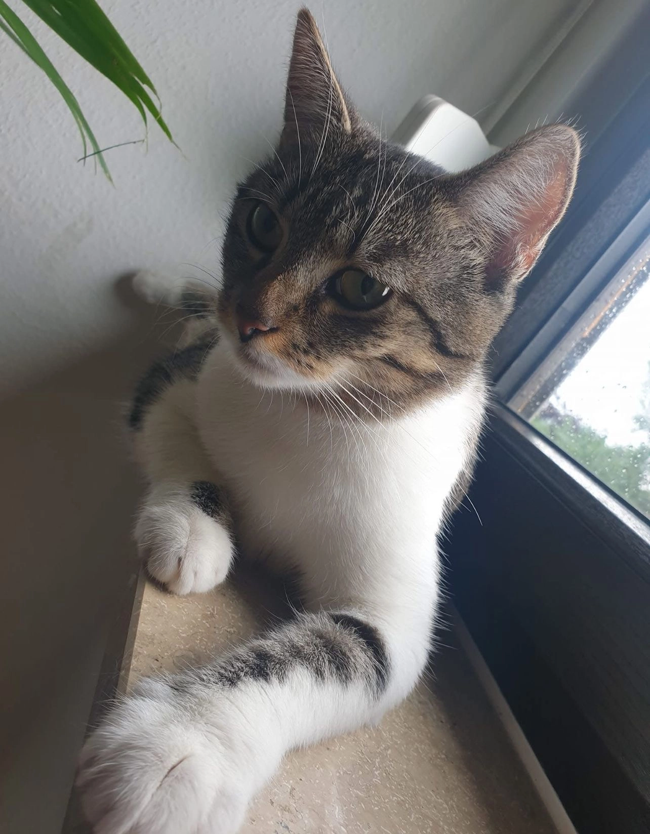 Amy - Saarstraße, Neckarsulm